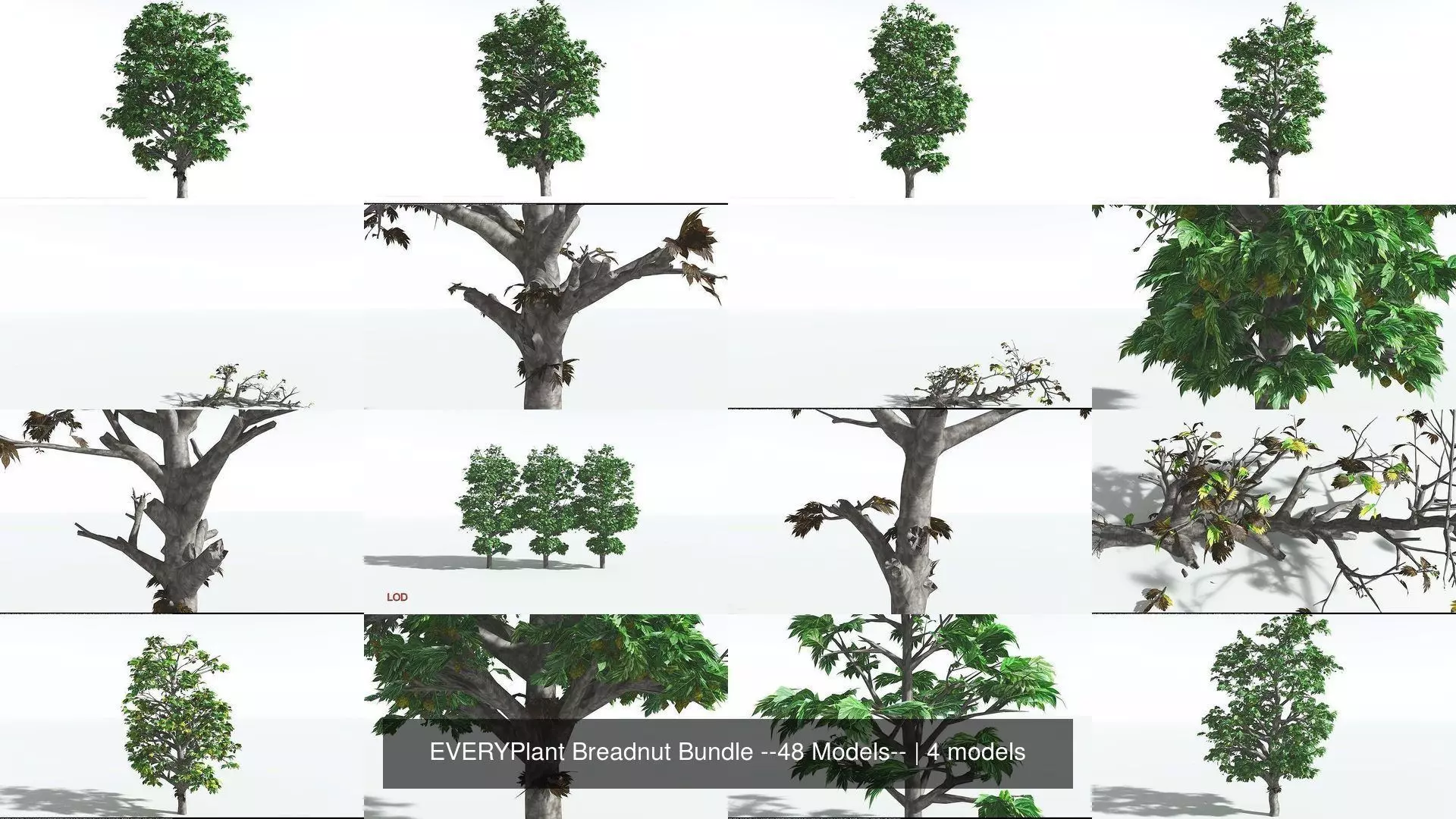 EVERYPlant Breadnut Bundle --48 Models-- 3D Model Collection_0