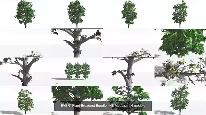 EVERYPlant Breadnut Bundle --48 Models-- 3D Model Collection
