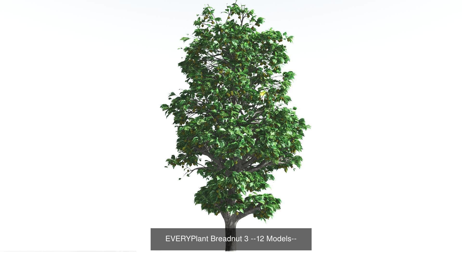 EVERYPlant Breadnut Bundle --48 Models-- 3D Model Collection_3