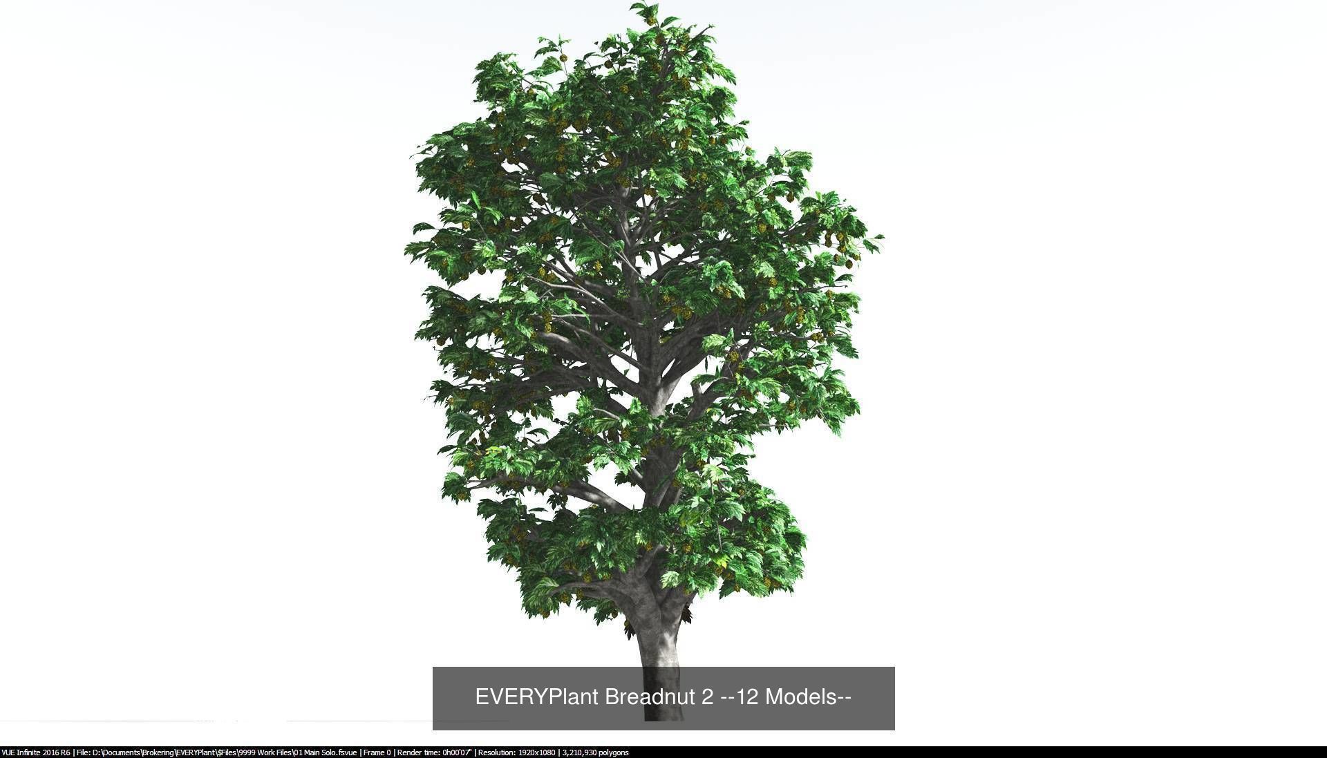EVERYPlant Breadnut Bundle --48 Models-- 3D Model Collection_2