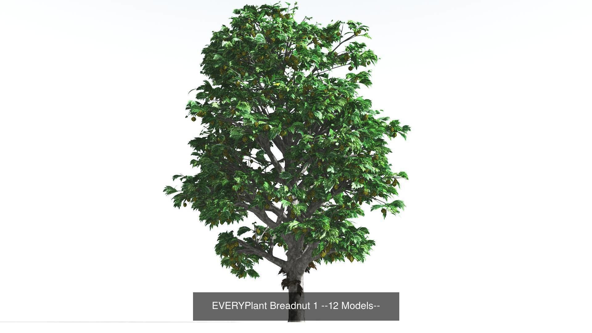 EVERYPlant Breadnut Bundle --48 Models-- 3D Model Collection_1