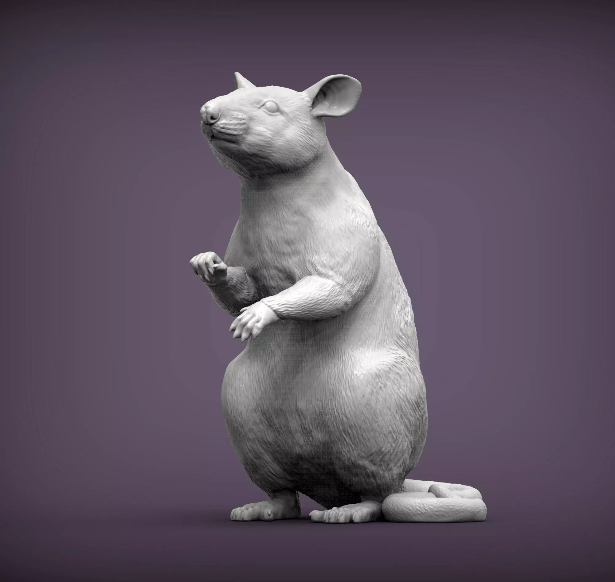African Giant Pouched Rat  3D print model_0