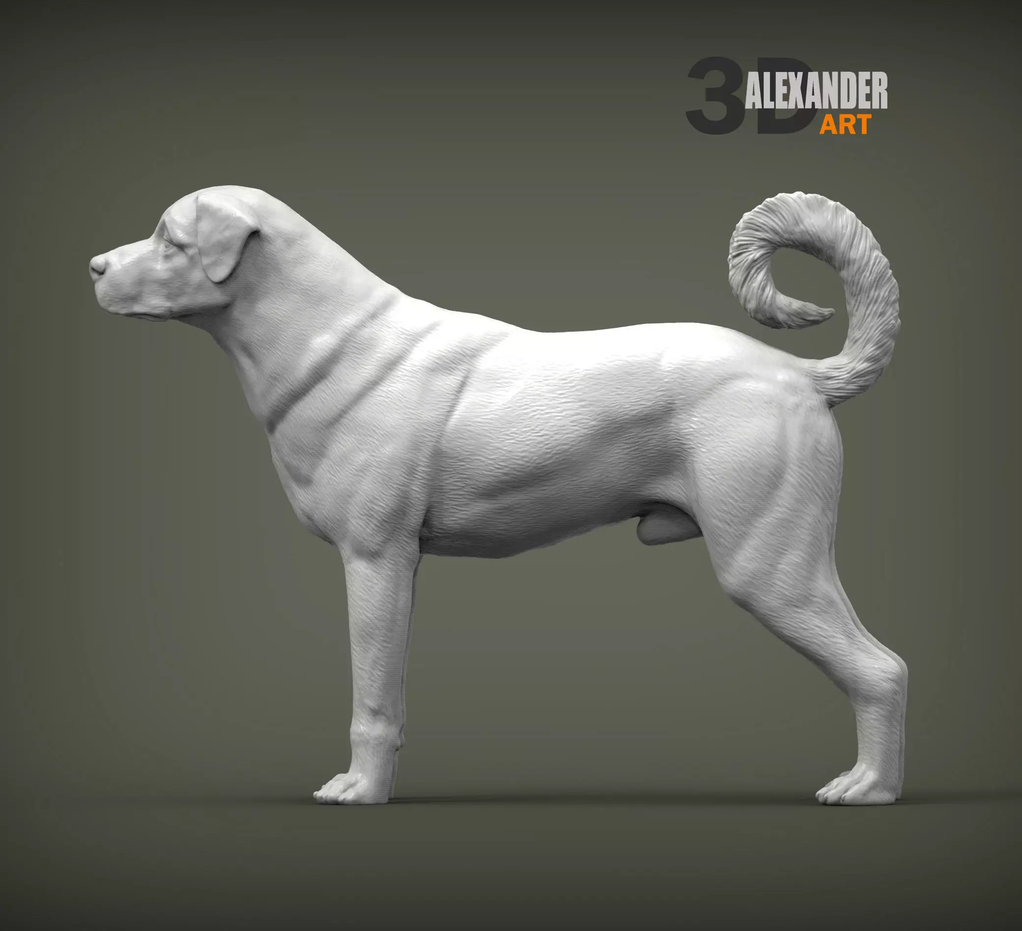 Anatolian shepherd 3D print model_0