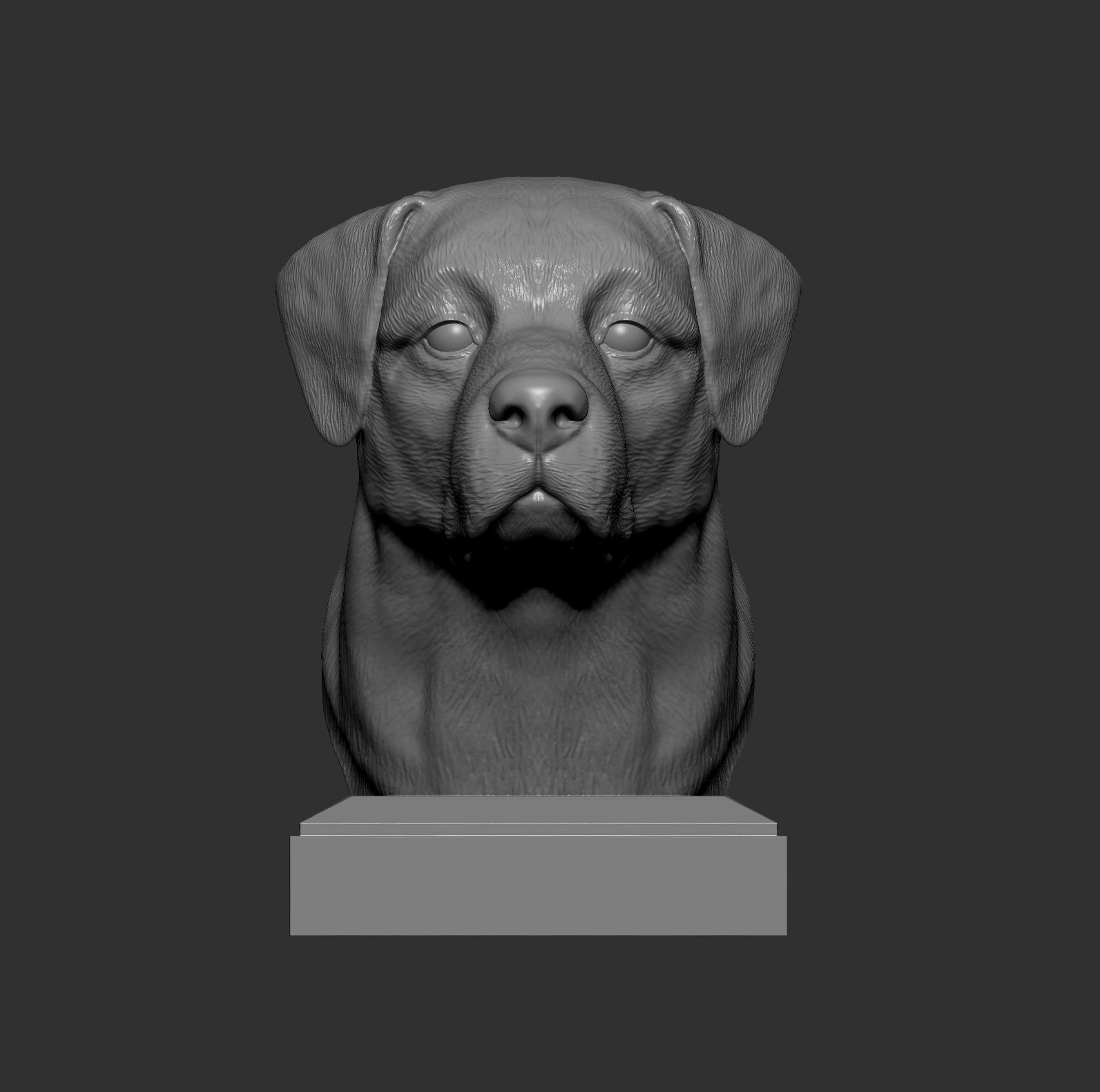 Anatolian shepherd bust 3D print model_4