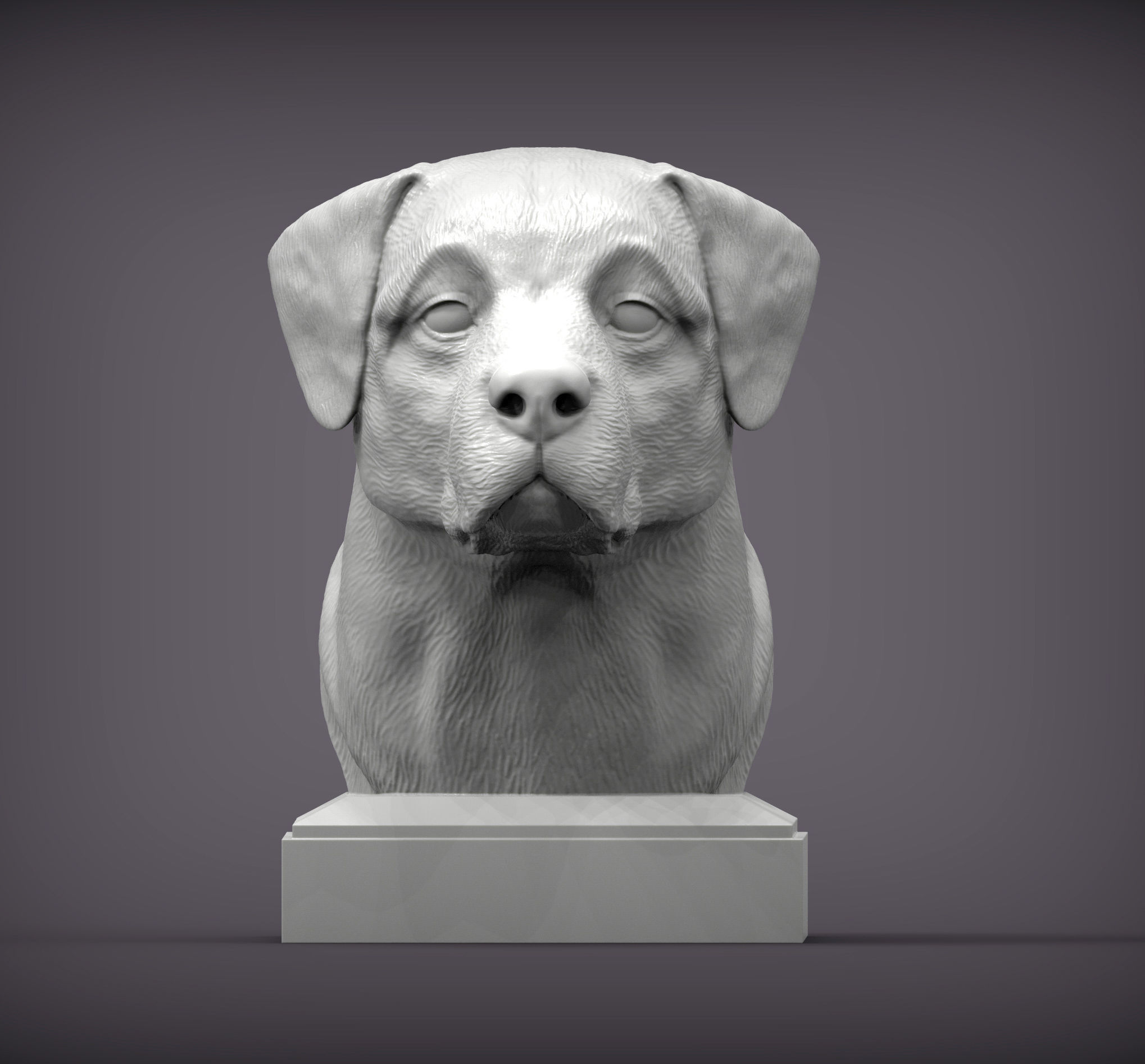 Anatolian shepherd bust 3D print model_2