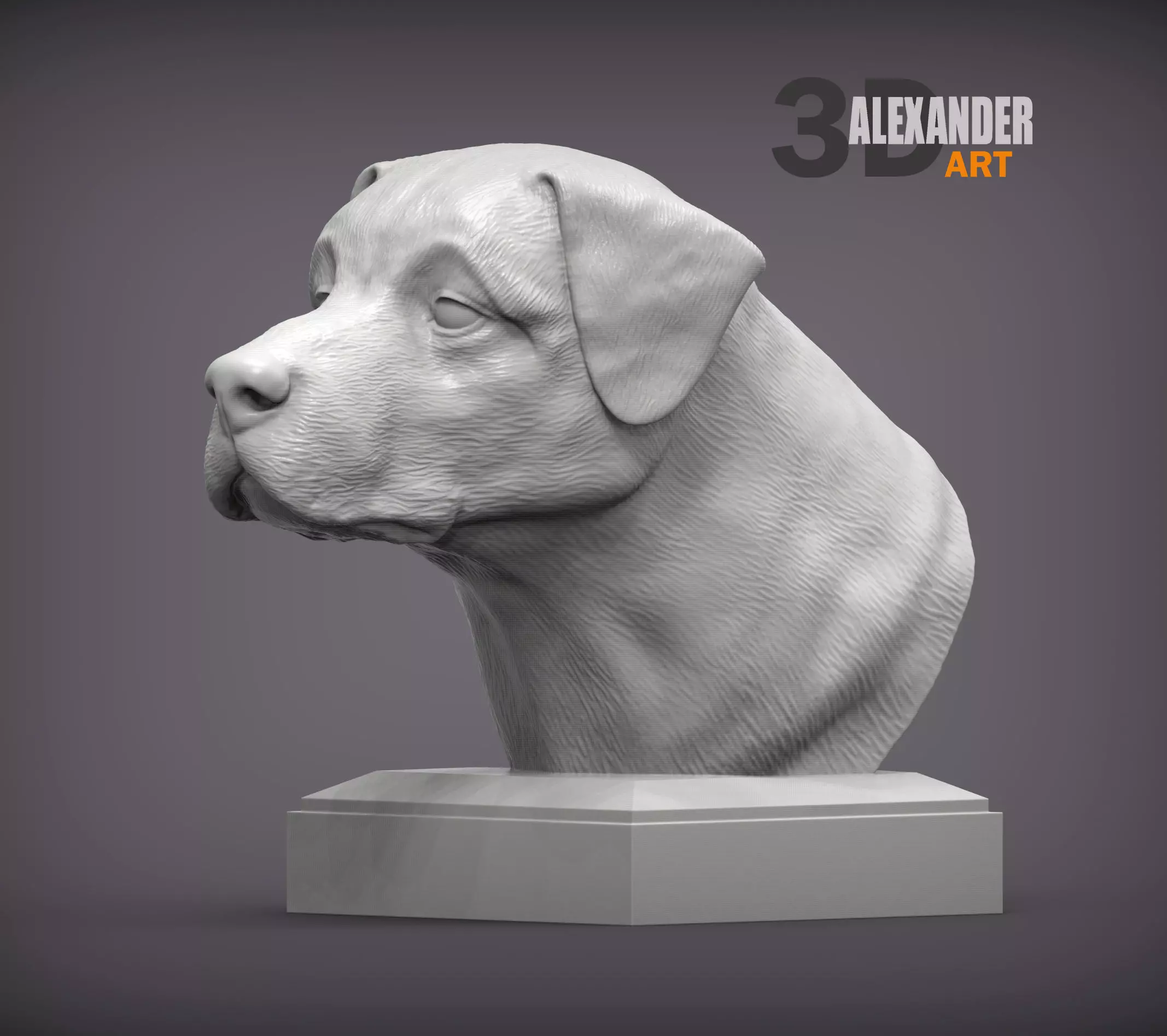 Anatolian shepherd bust 3D print model_0