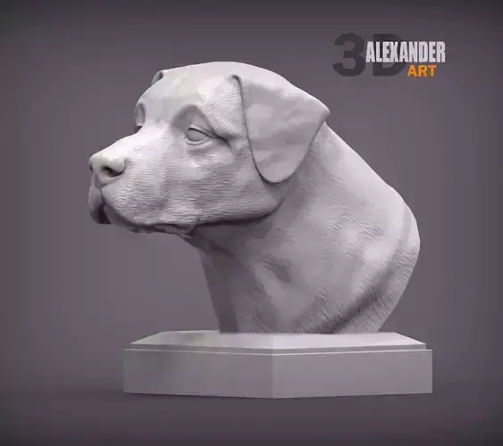 Anatolian shepherd bust