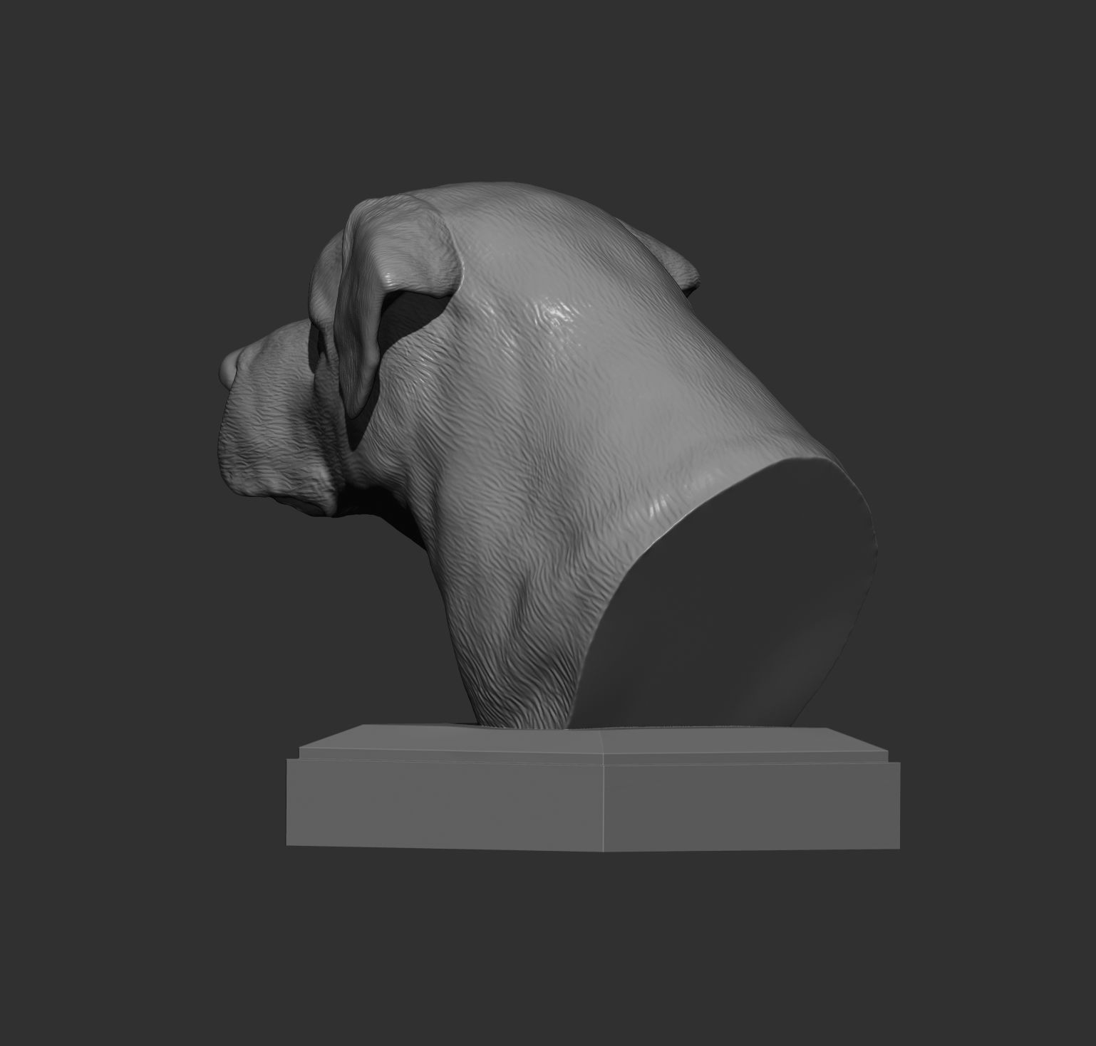 Anatolian shepherd bust 3D print model_6