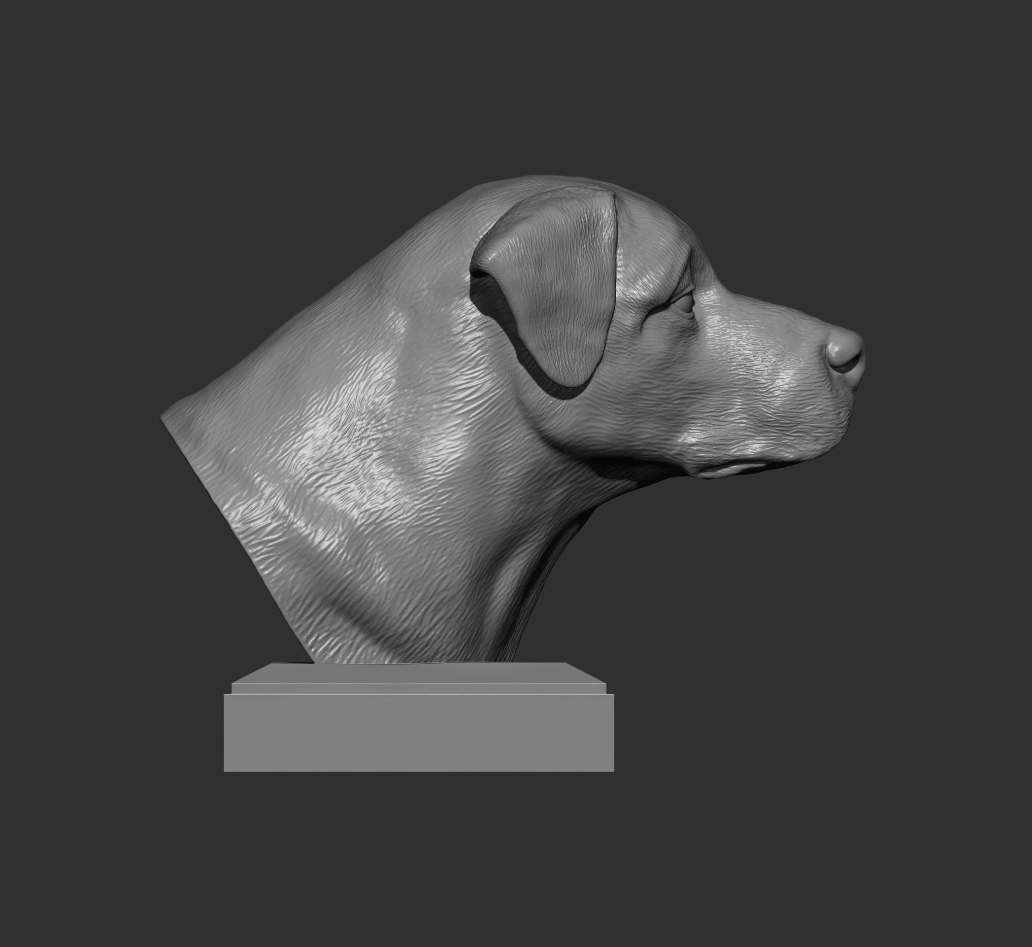 Anatolian shepherd bust 3D print model_5