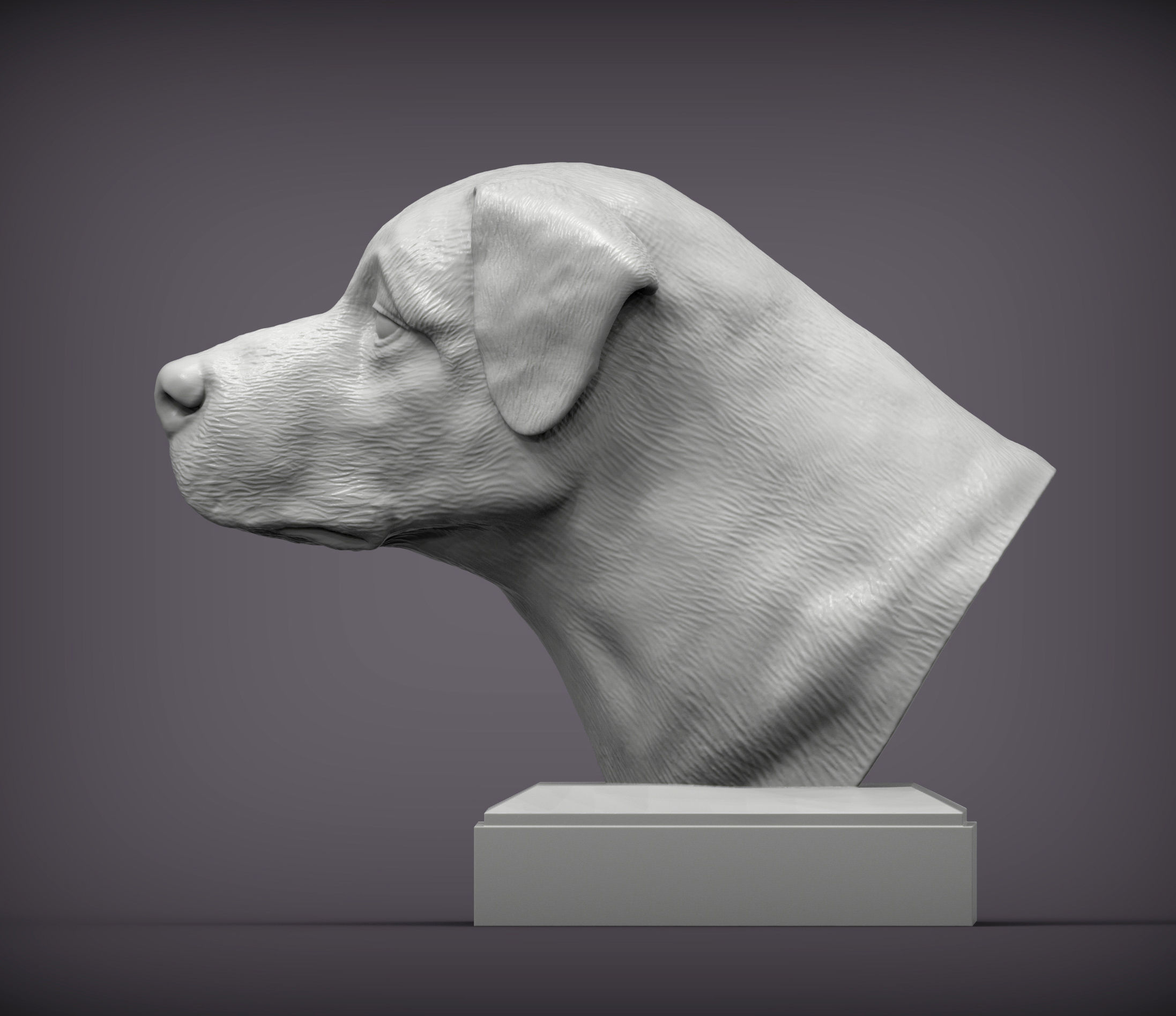 Anatolian shepherd bust 3D print model_1