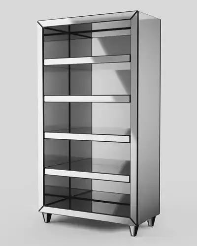 Mirrored Bookcase