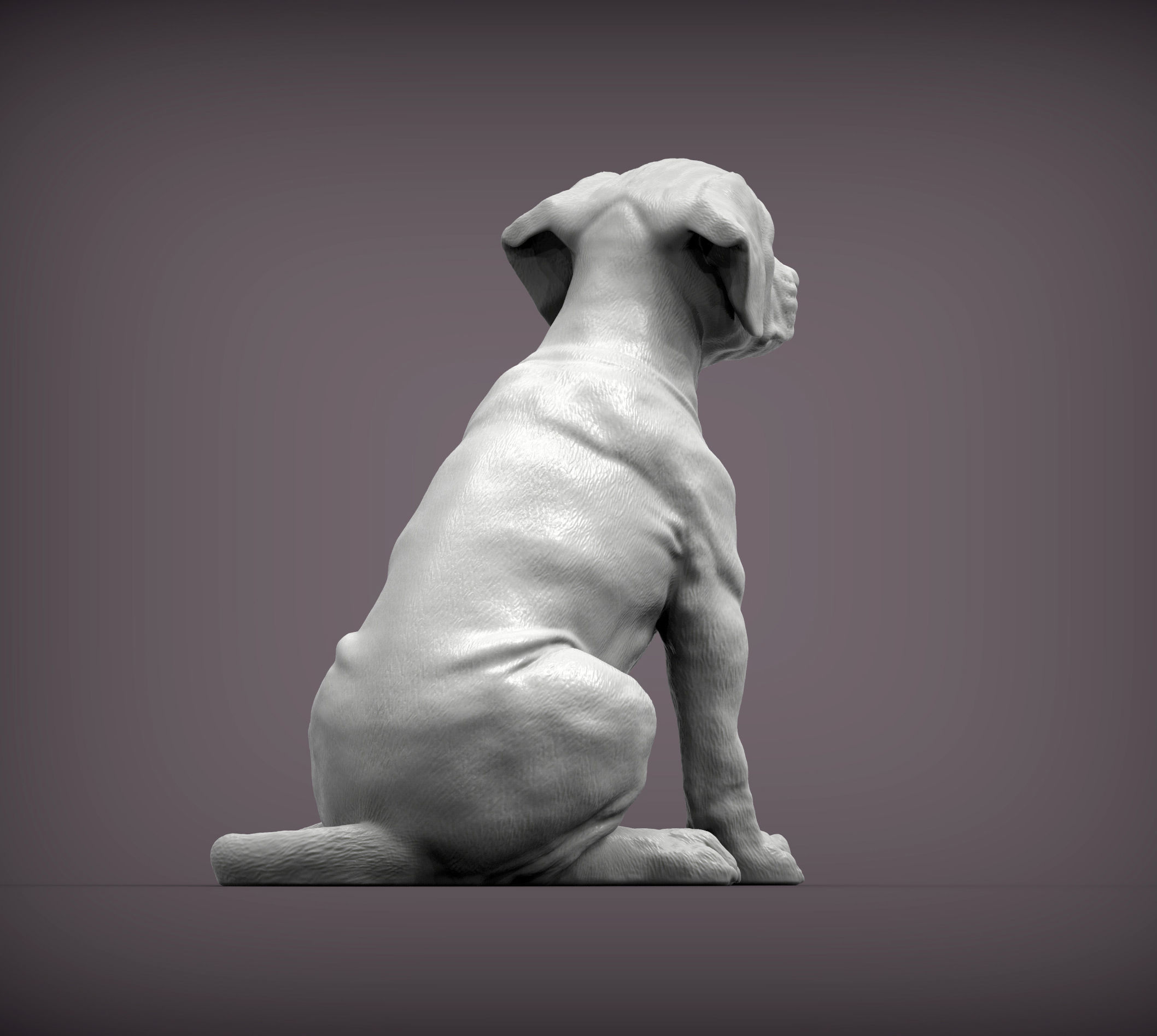 Puppy rhodesian ridgeback sitting 3D print model_3