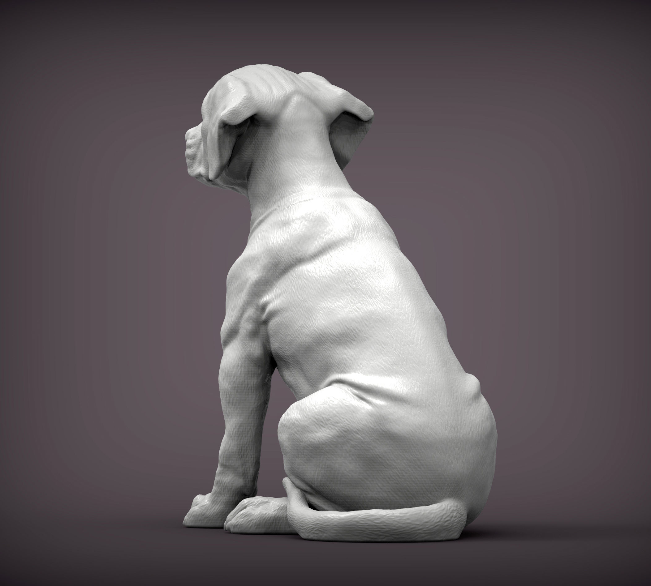 Puppy rhodesian ridgeback sitting 3D print model_5
