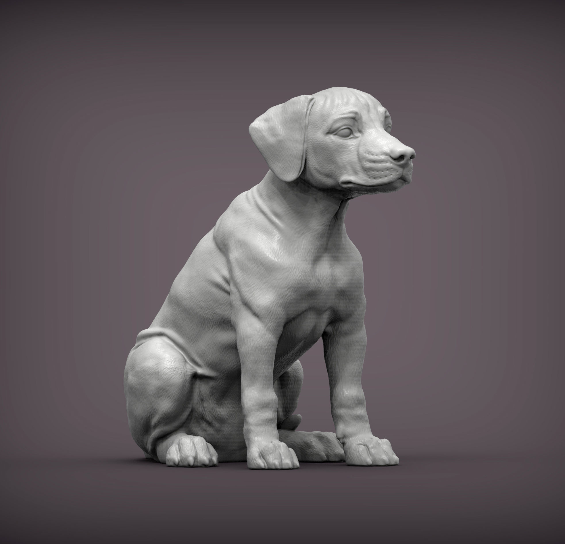Puppy rhodesian ridgeback sitting 3D print model_6