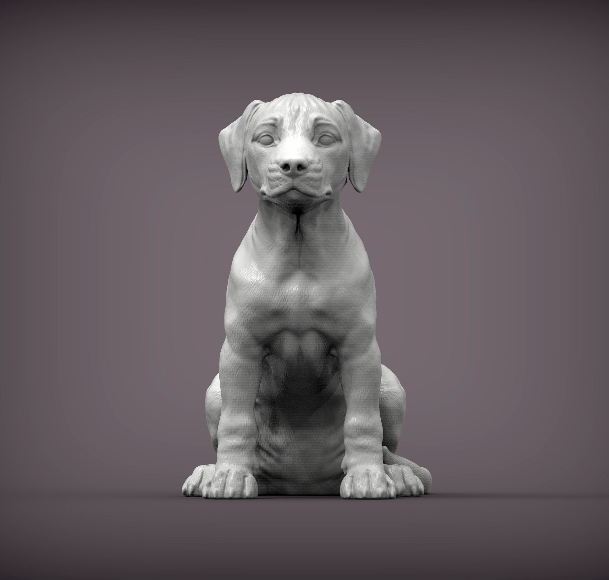 Puppy rhodesian ridgeback sitting 3D print model_4