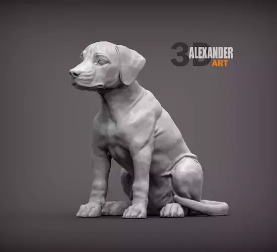 Puppy rhodesian ridgeback sitting