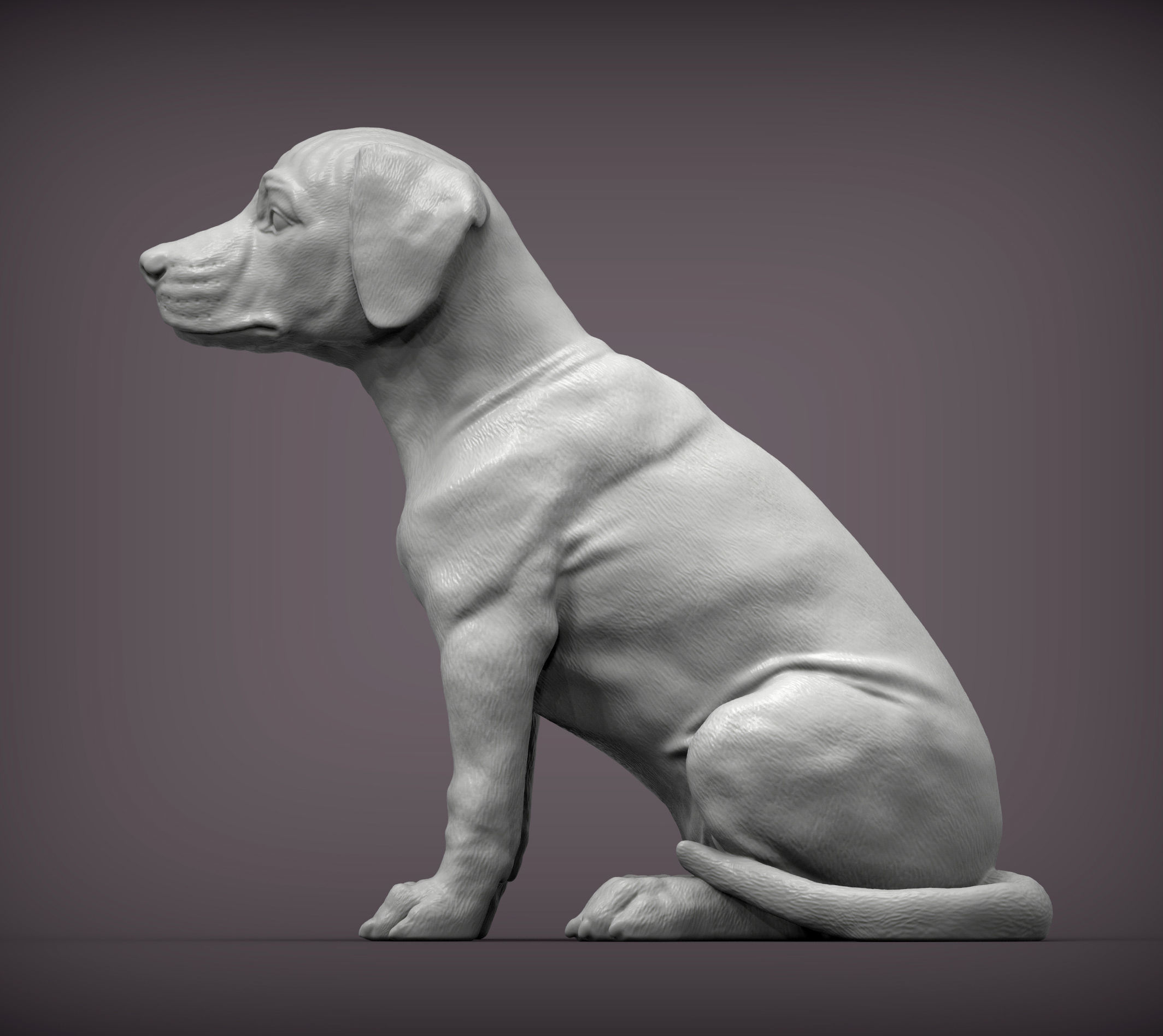 Puppy rhodesian ridgeback sitting 3D print model_2