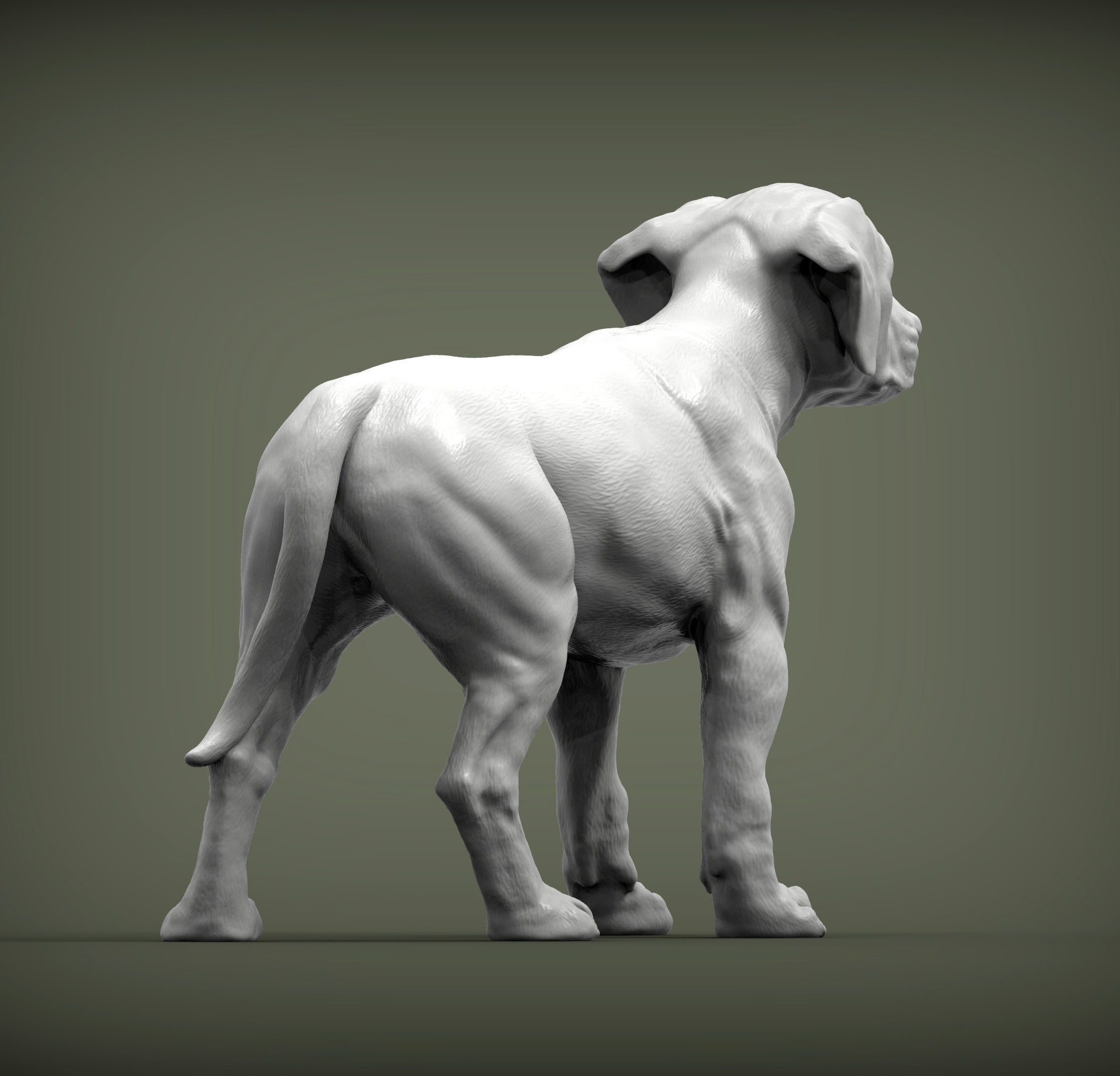 puppy rhodesian ridgeback standing 3D print model_7