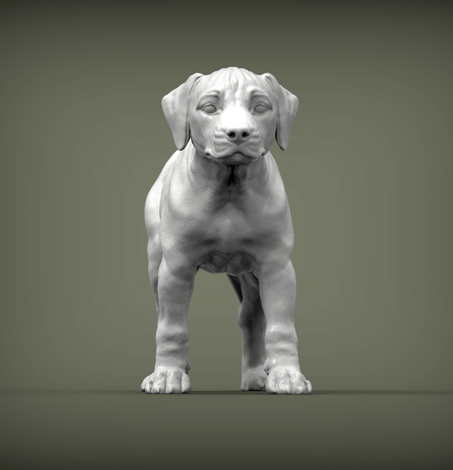 puppy rhodesian ridgeback standing 3D print model_6