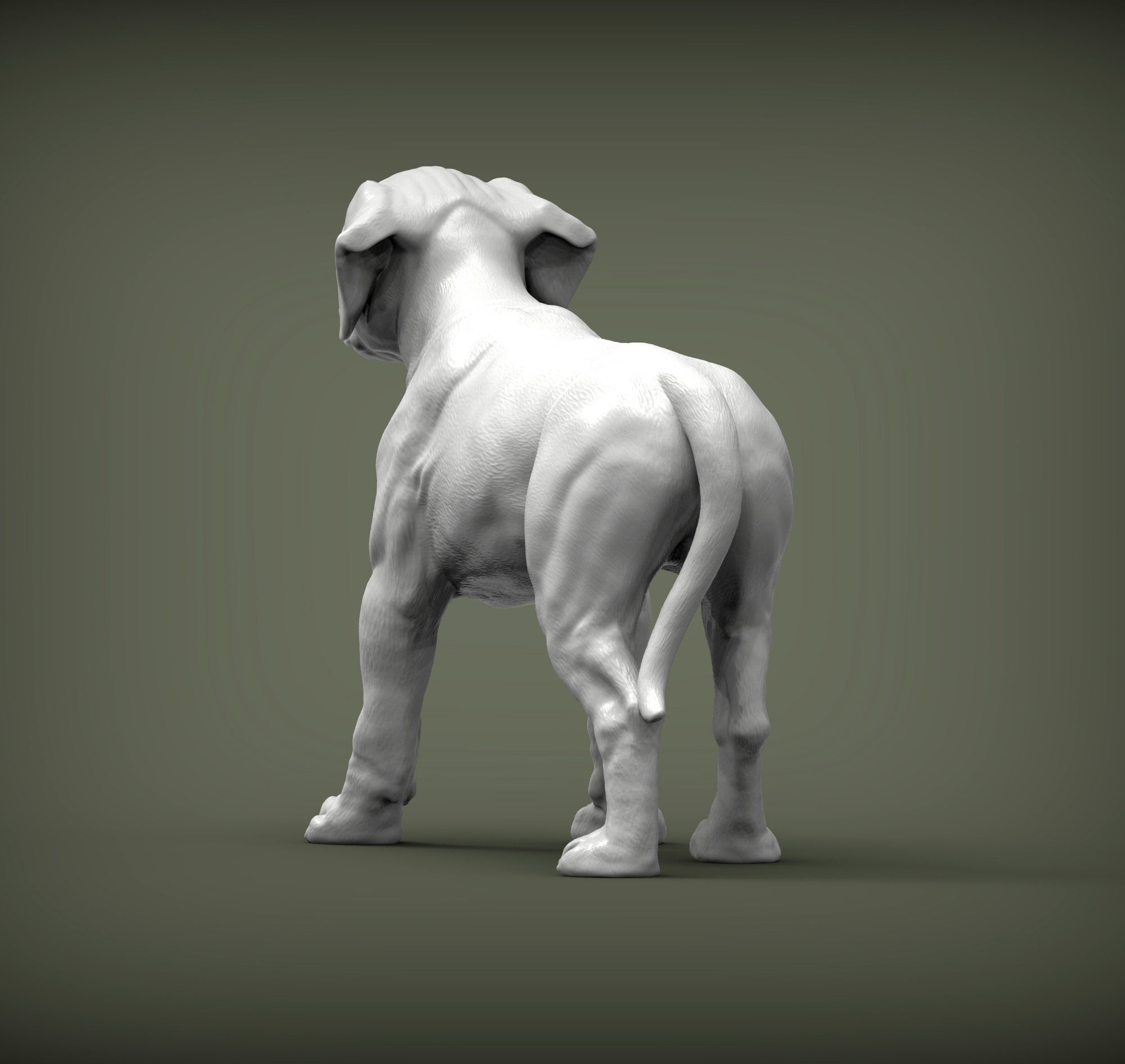 puppy rhodesian ridgeback standing 3D print model_4