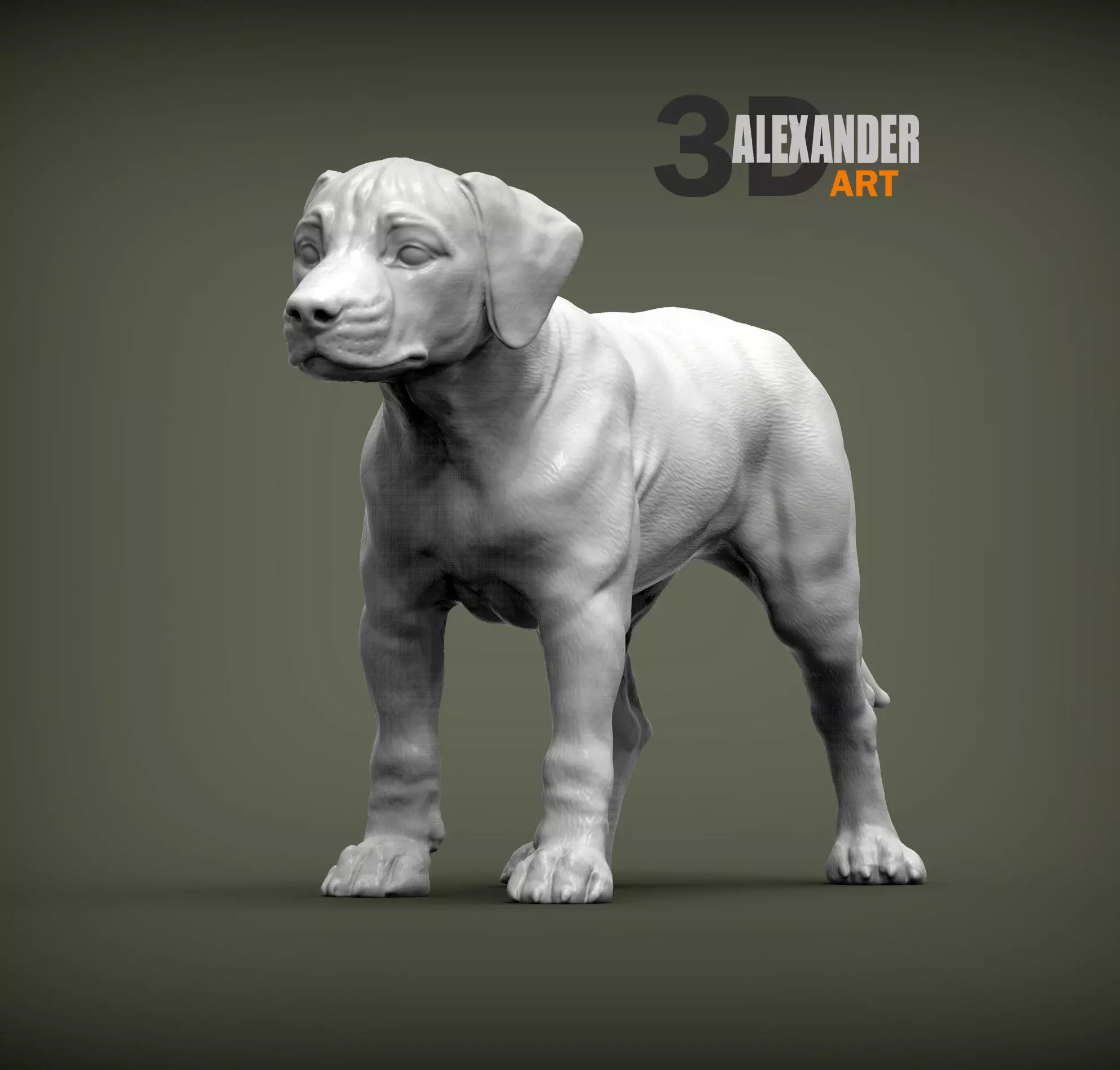 puppy rhodesian ridgeback standing 3D print model_0