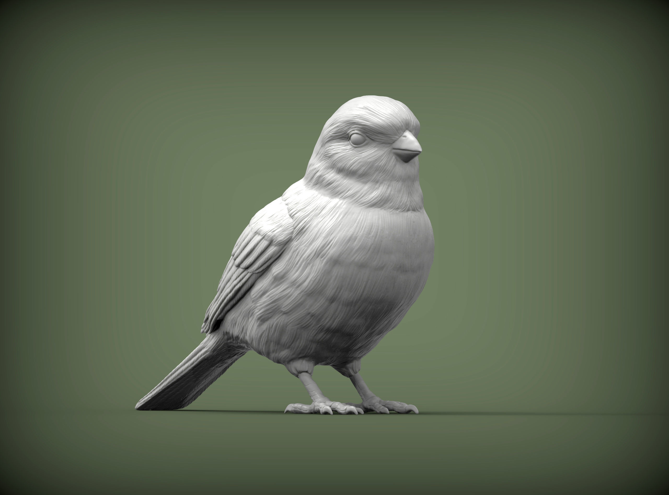 Sparrow 3D print model_3
