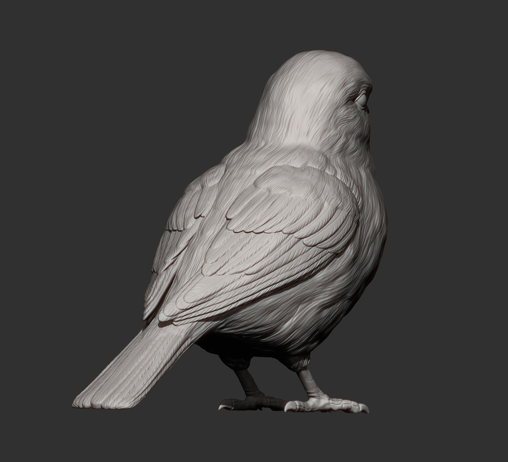 Sparrow 3D print model_10
