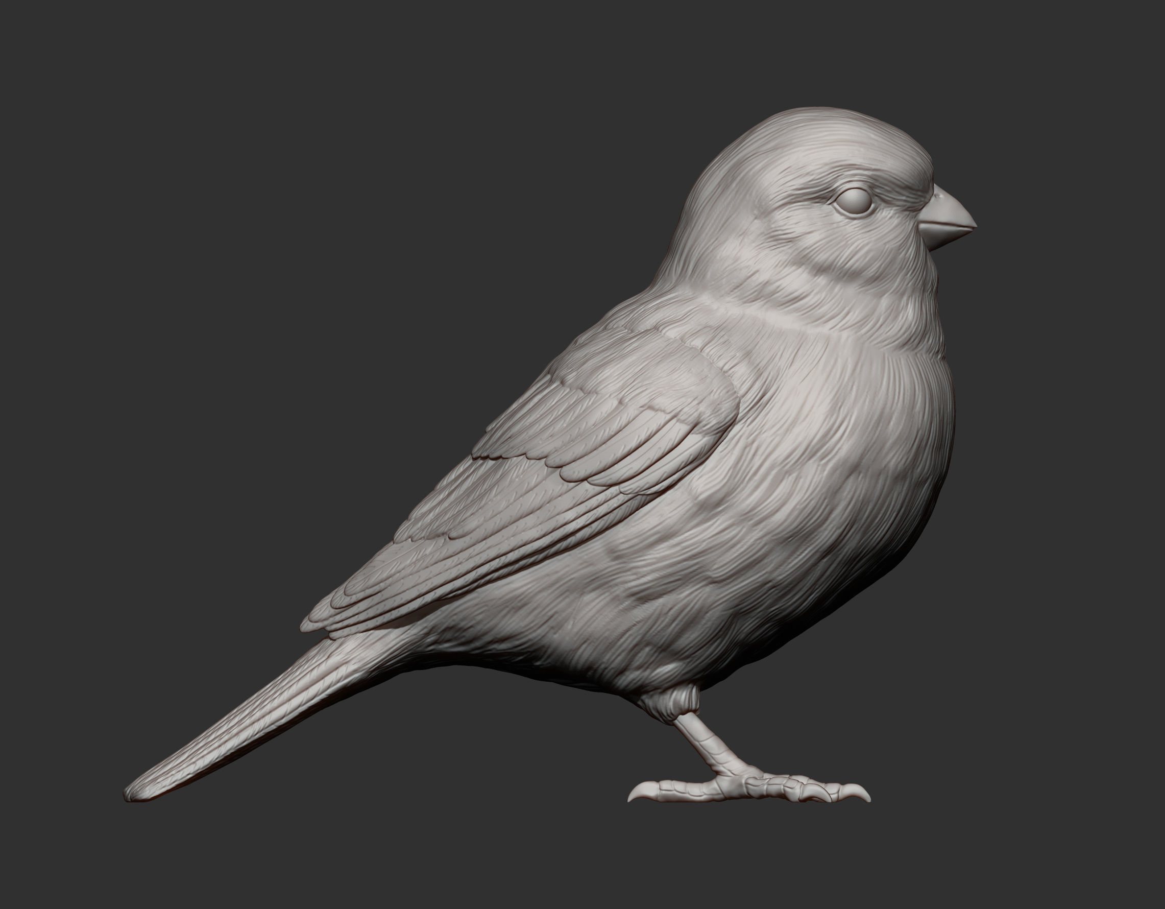 Sparrow 3D print model_11