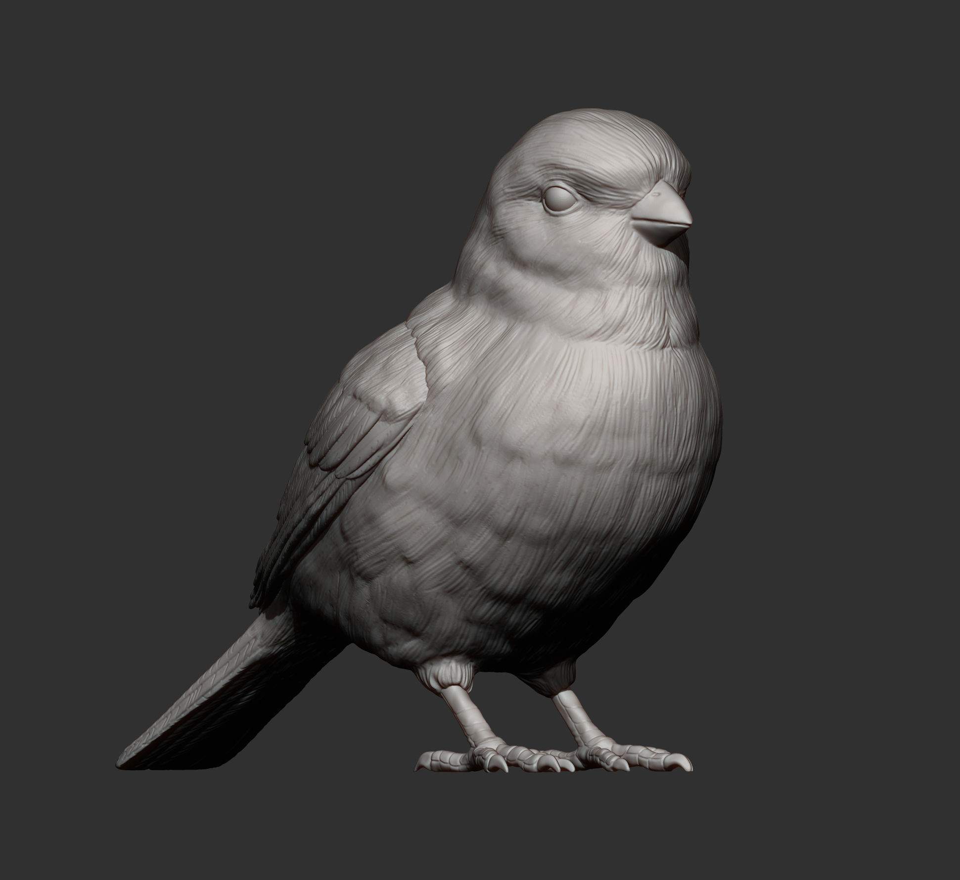 Sparrow 3D print model_7