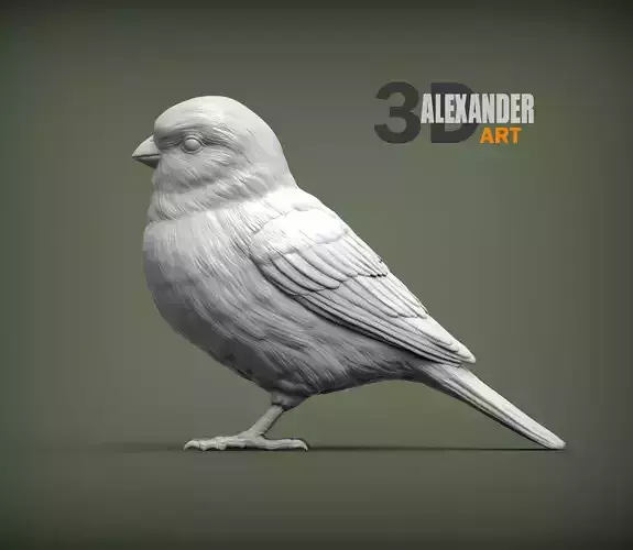 Sparrow 3D print model