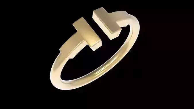  Ring  Two T Tube 16 1mm 3D print model