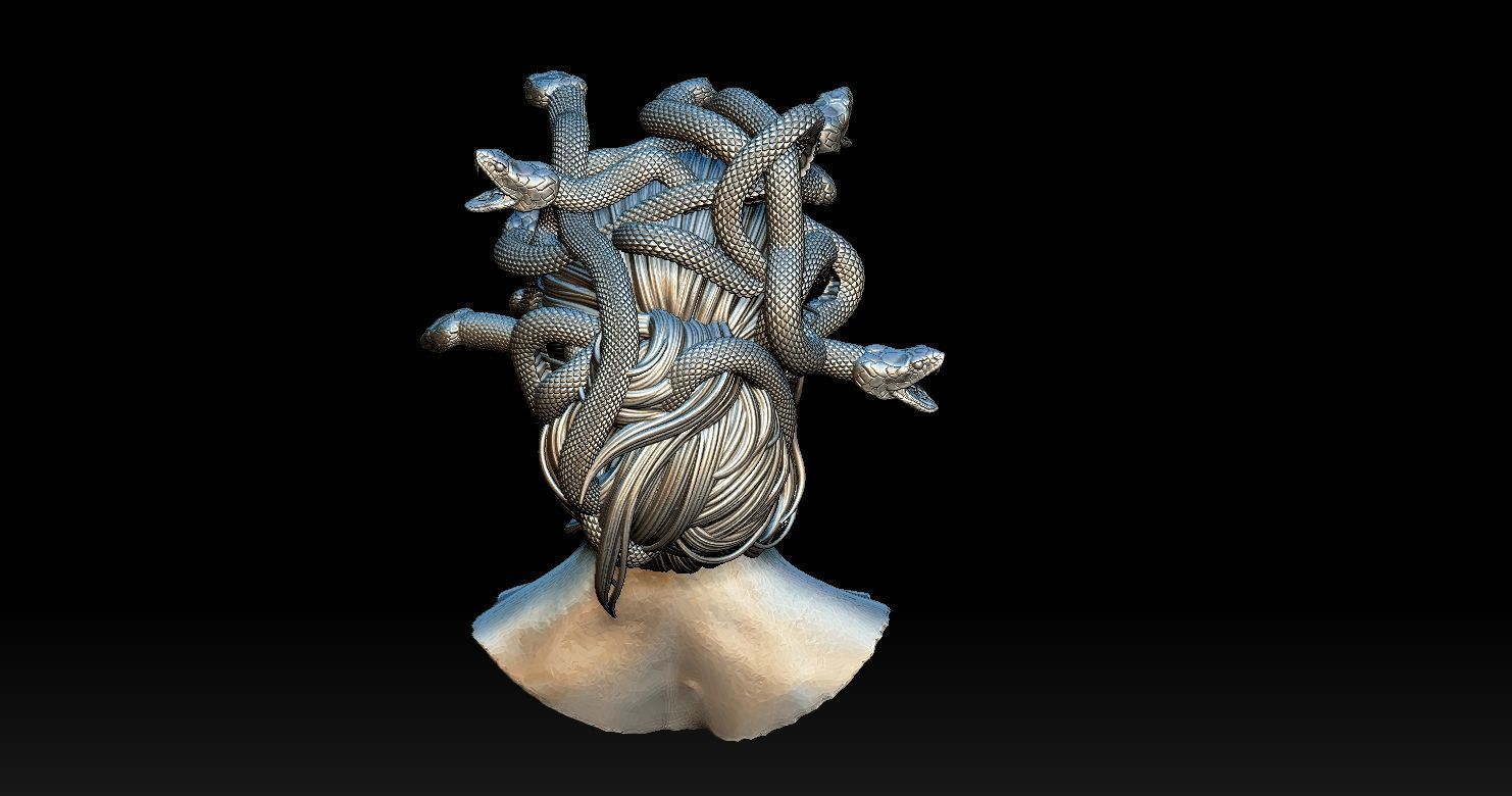 Medusa Head 2 3D print model  3D print model_10