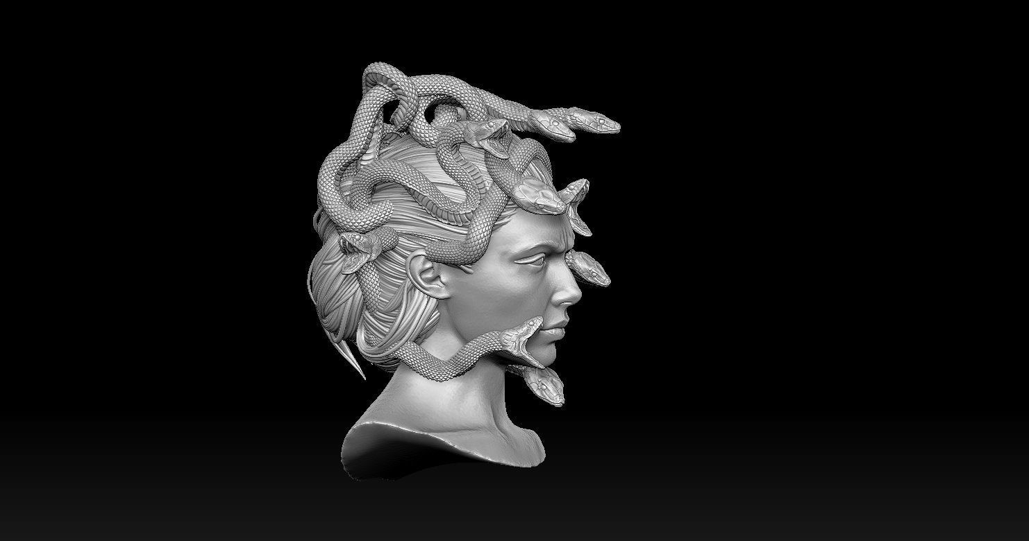 Medusa Head 2 3D print model  3D print model_7