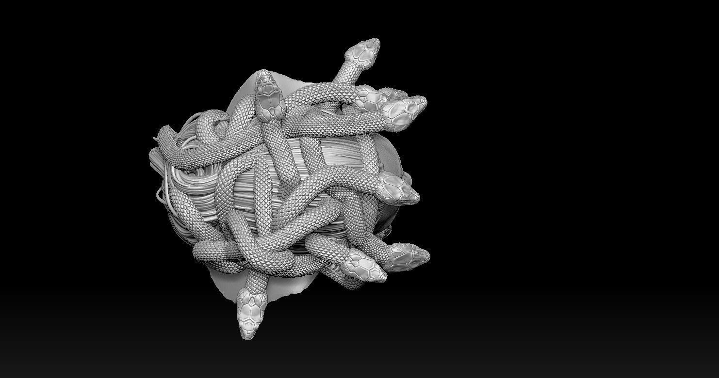Medusa Head 2 3D print model  3D print model_4