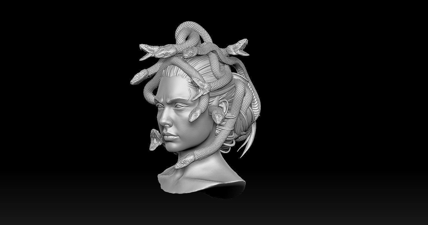 Medusa Head 2 3D print model  3D print model_3