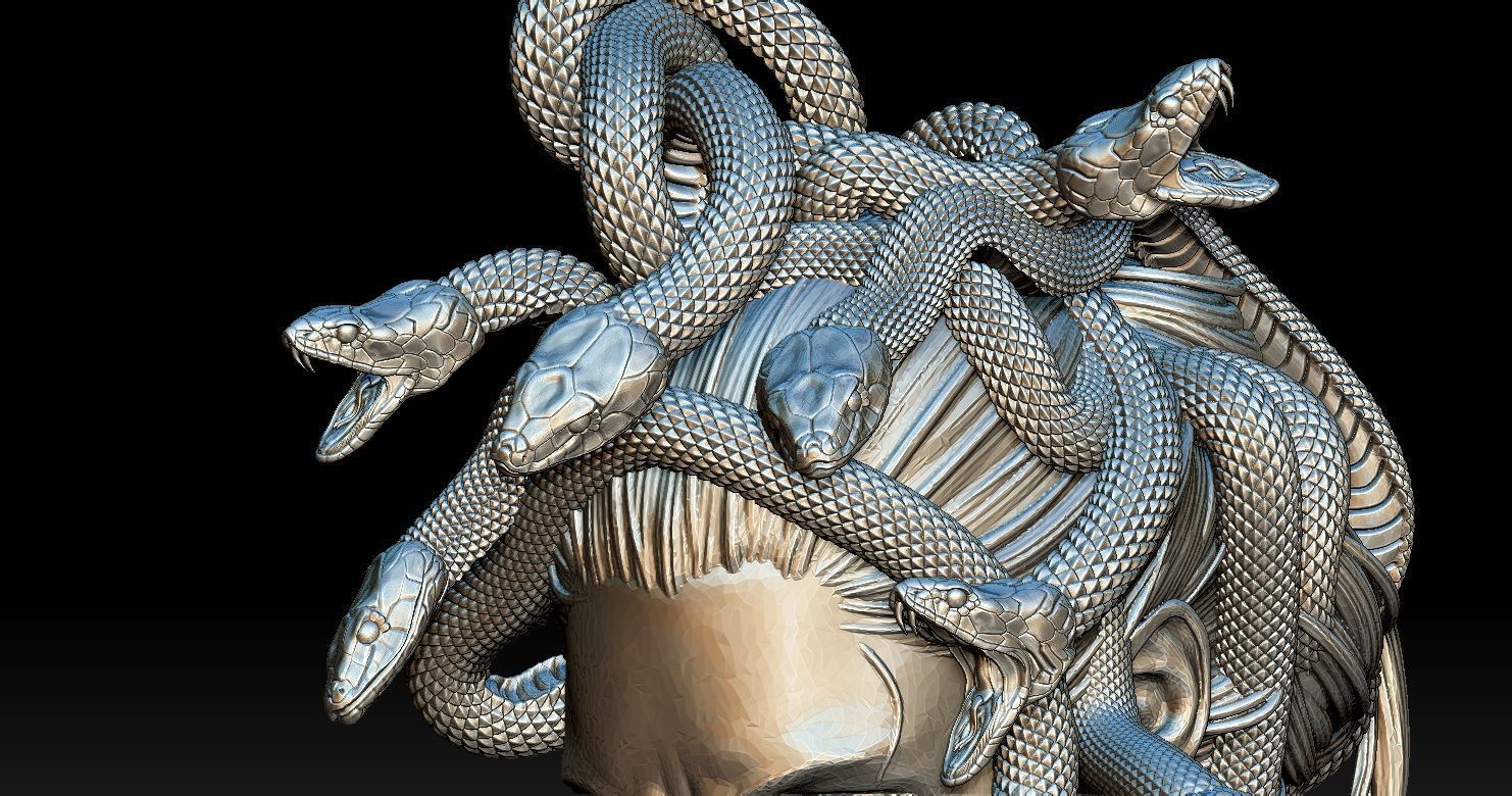 Medusa Head 2 3D print model  3D print model_18