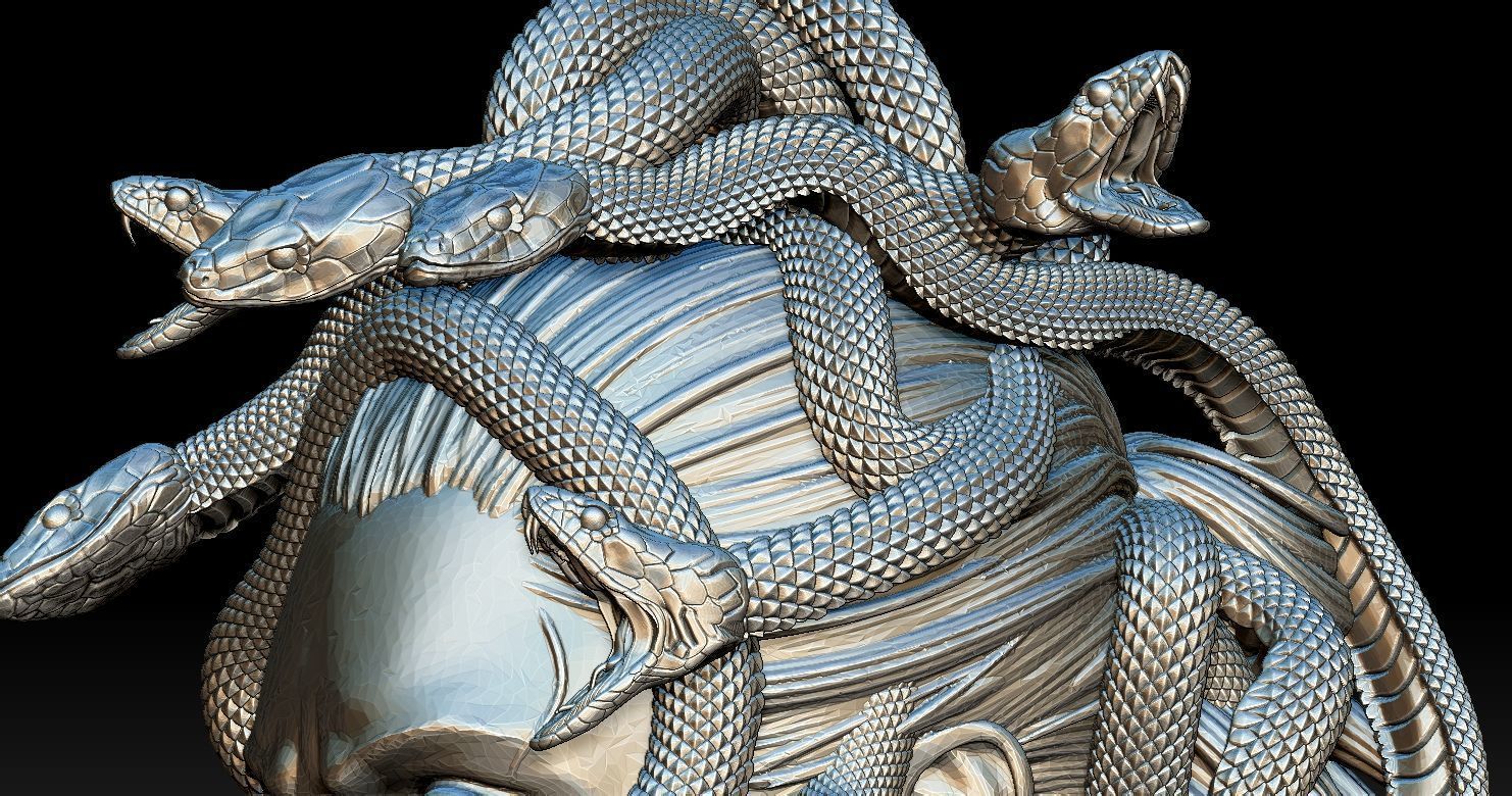 Medusa Head 2 3D print model  3D print model_14