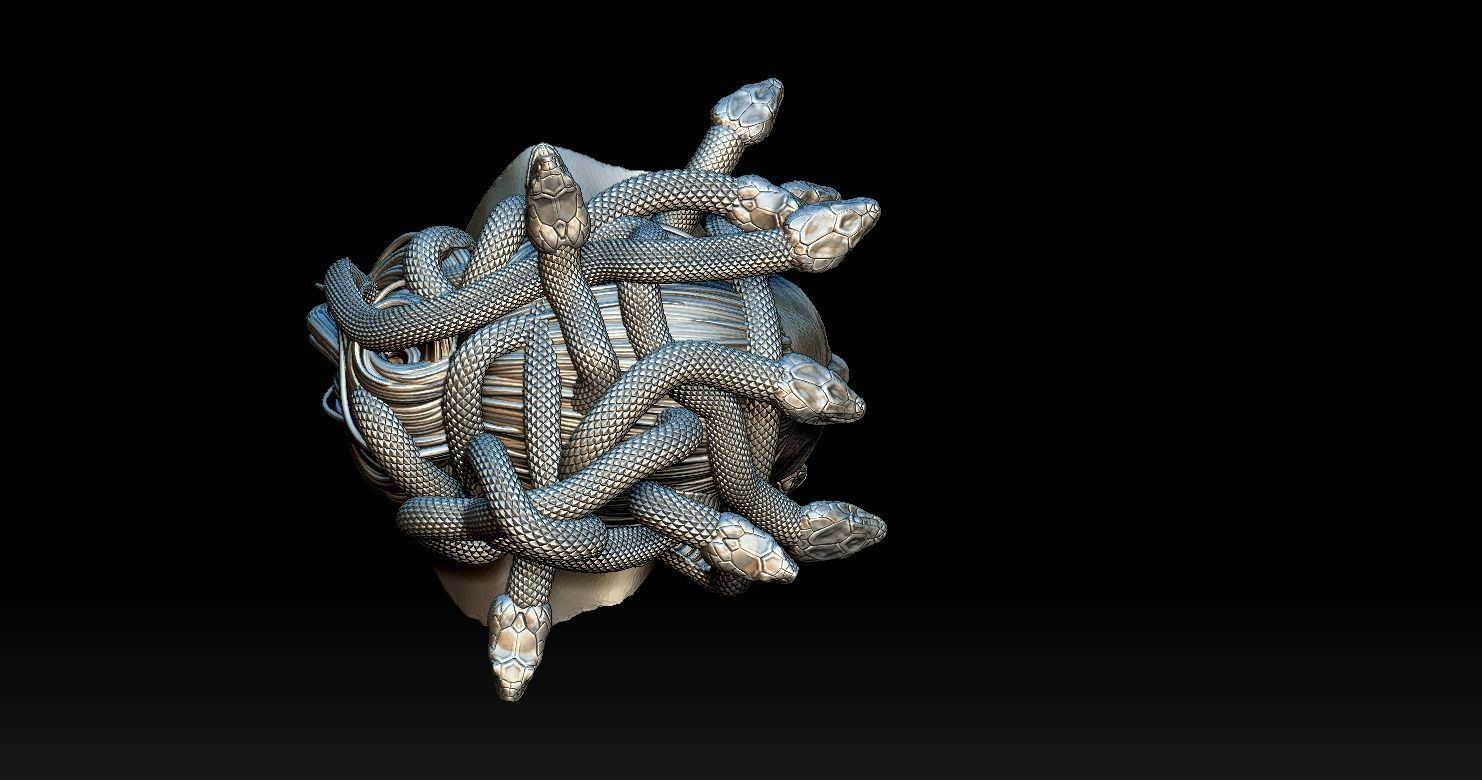 Medusa Head 2 3D print model  3D print model_8