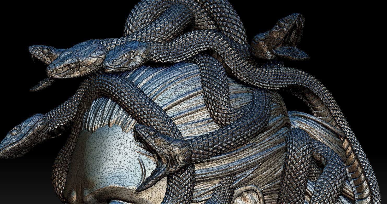Medusa Head 2 3D print model  3D print model_15