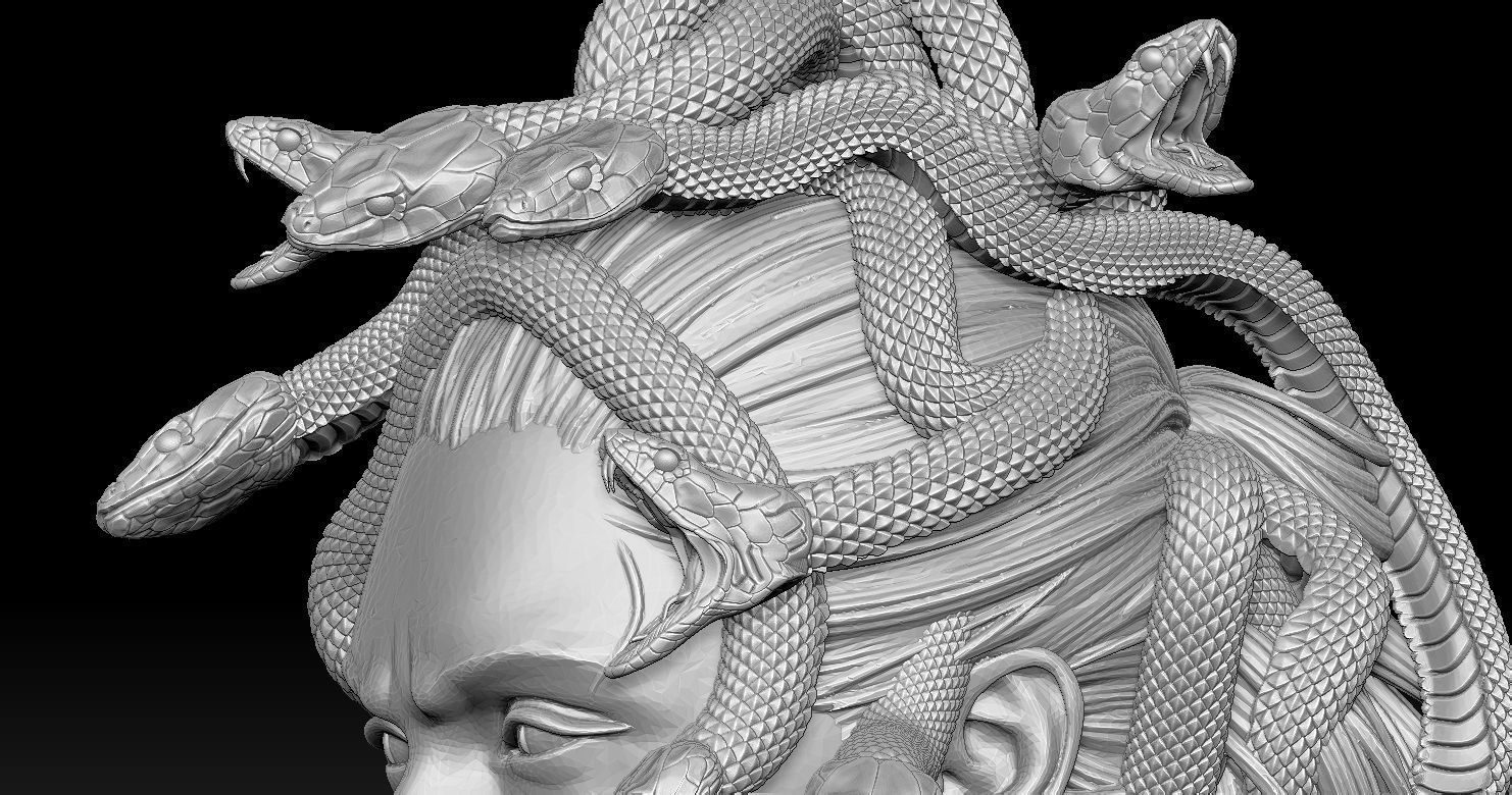 Medusa Head 2 3D print model  3D print model_19