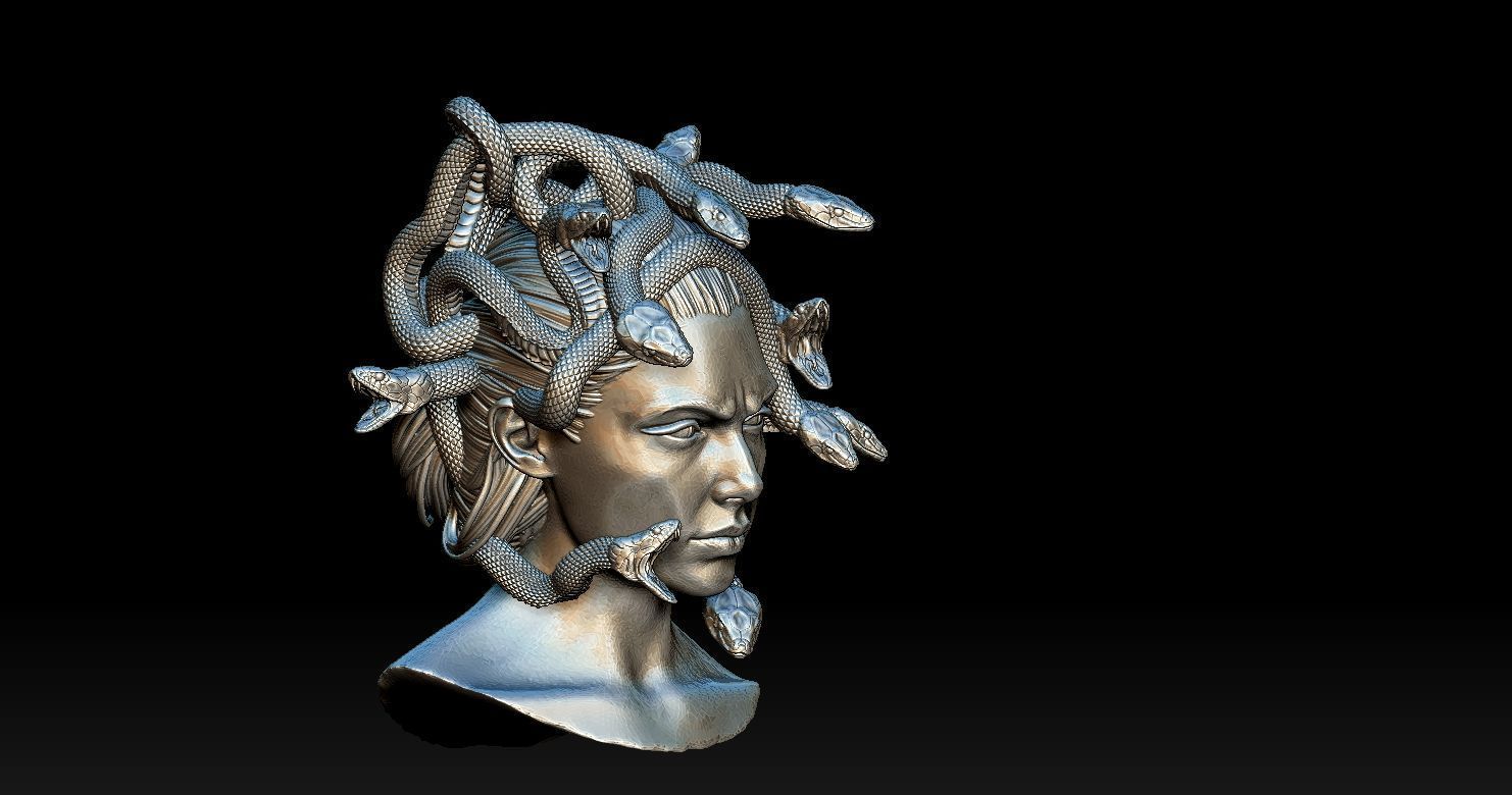 Medusa Head 2 3D print model  3D print model_12