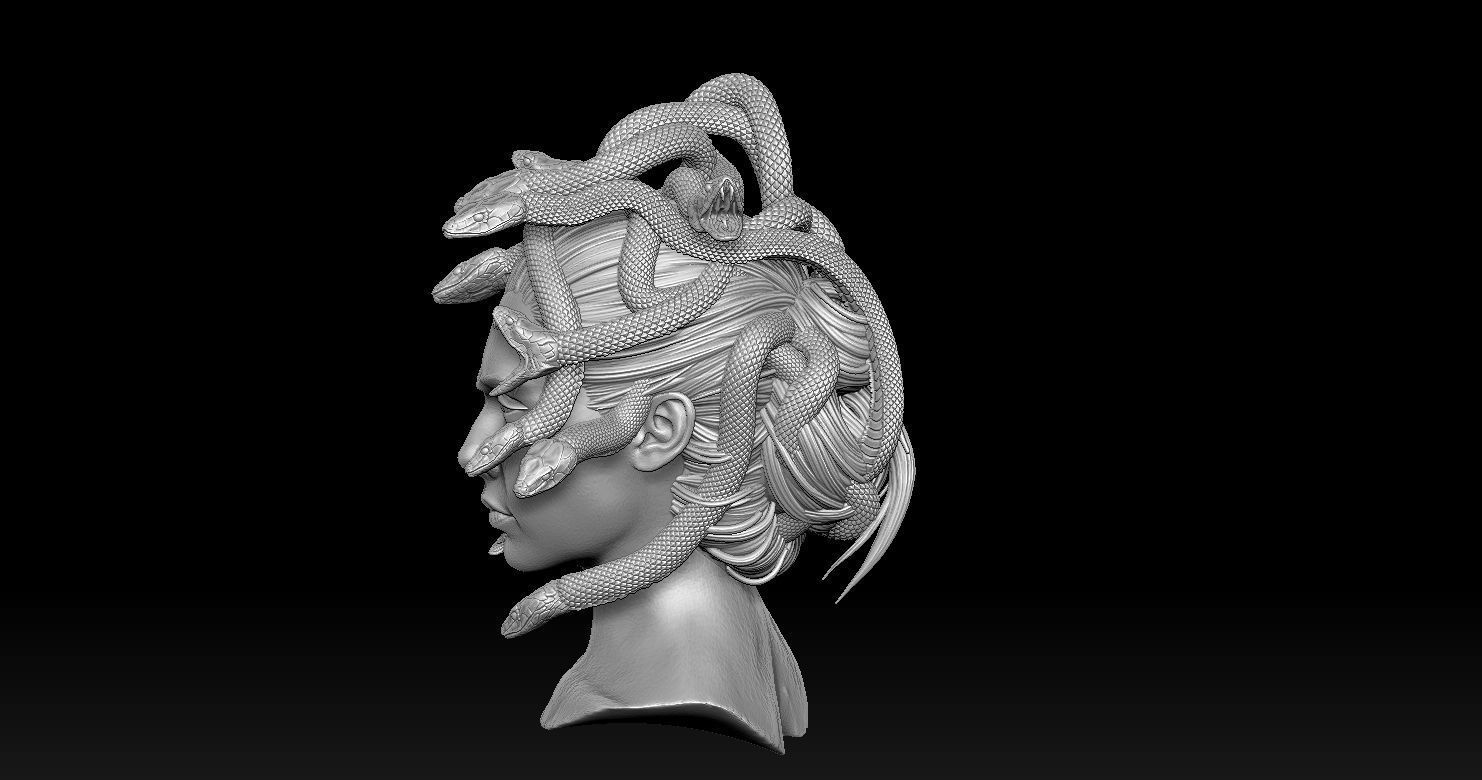Medusa Head 2 3D print model  3D print model_20