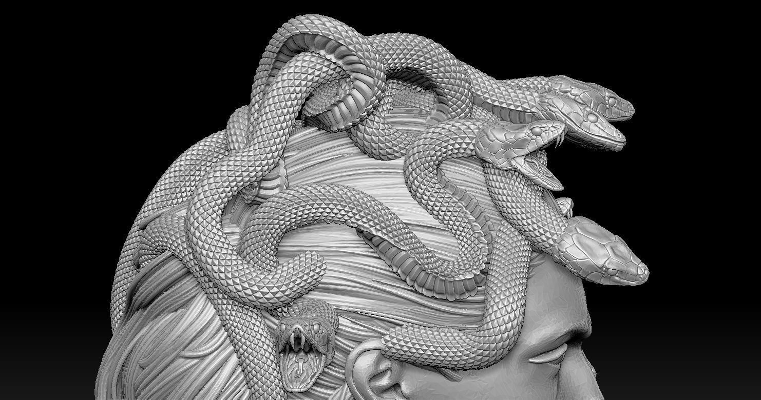 Medusa Head 2 3D print model  3D print model_16