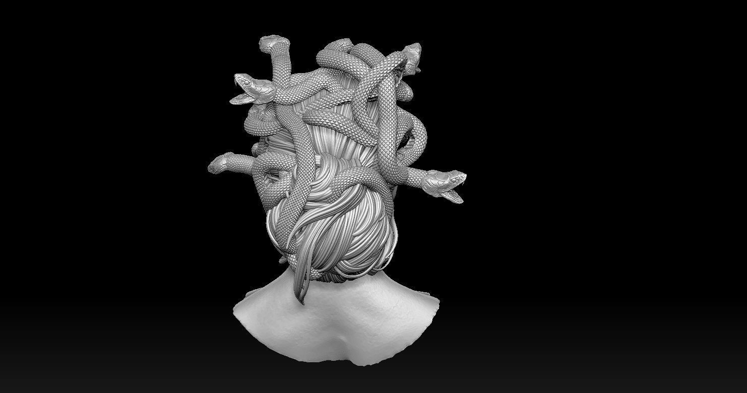 Medusa Head 2 3D print model  3D print model_11