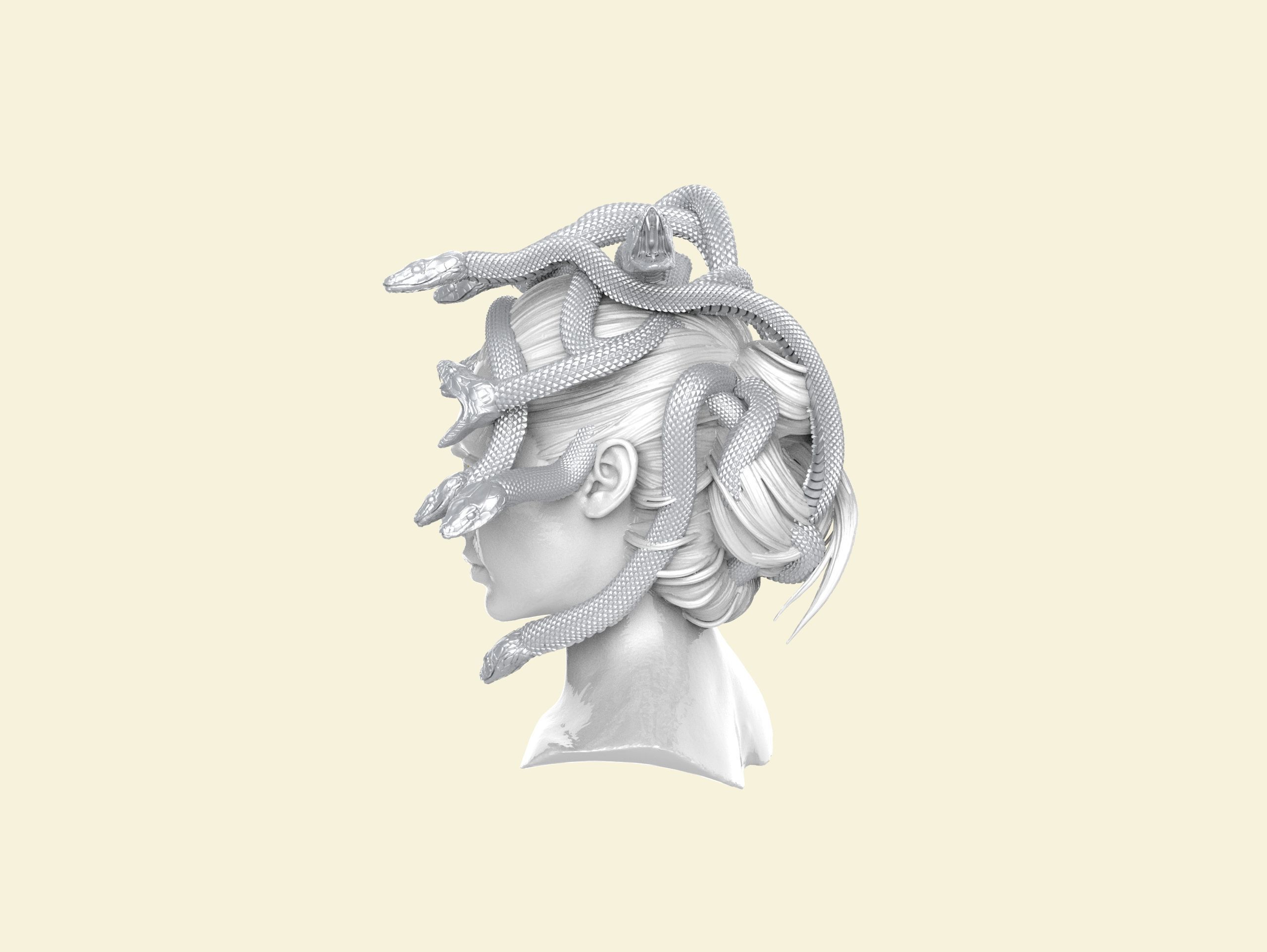 Medusa Head 2 3D print model  3D print model_21