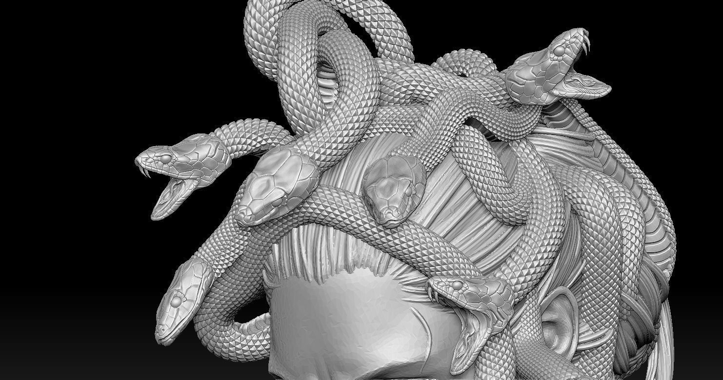 Medusa Head 2 3D print model  3D print model_17