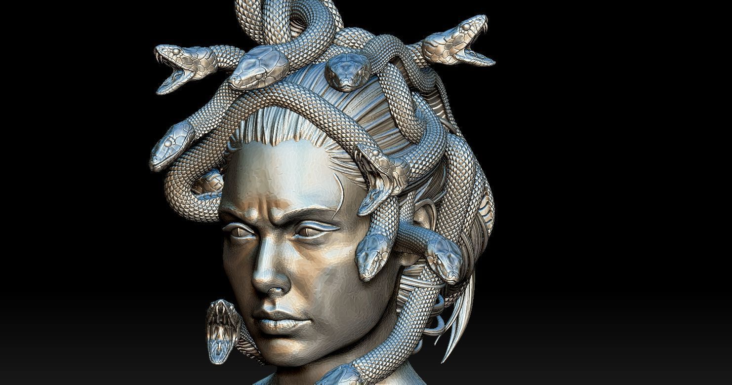 Medusa Head 2 3D print model  3D print model_13