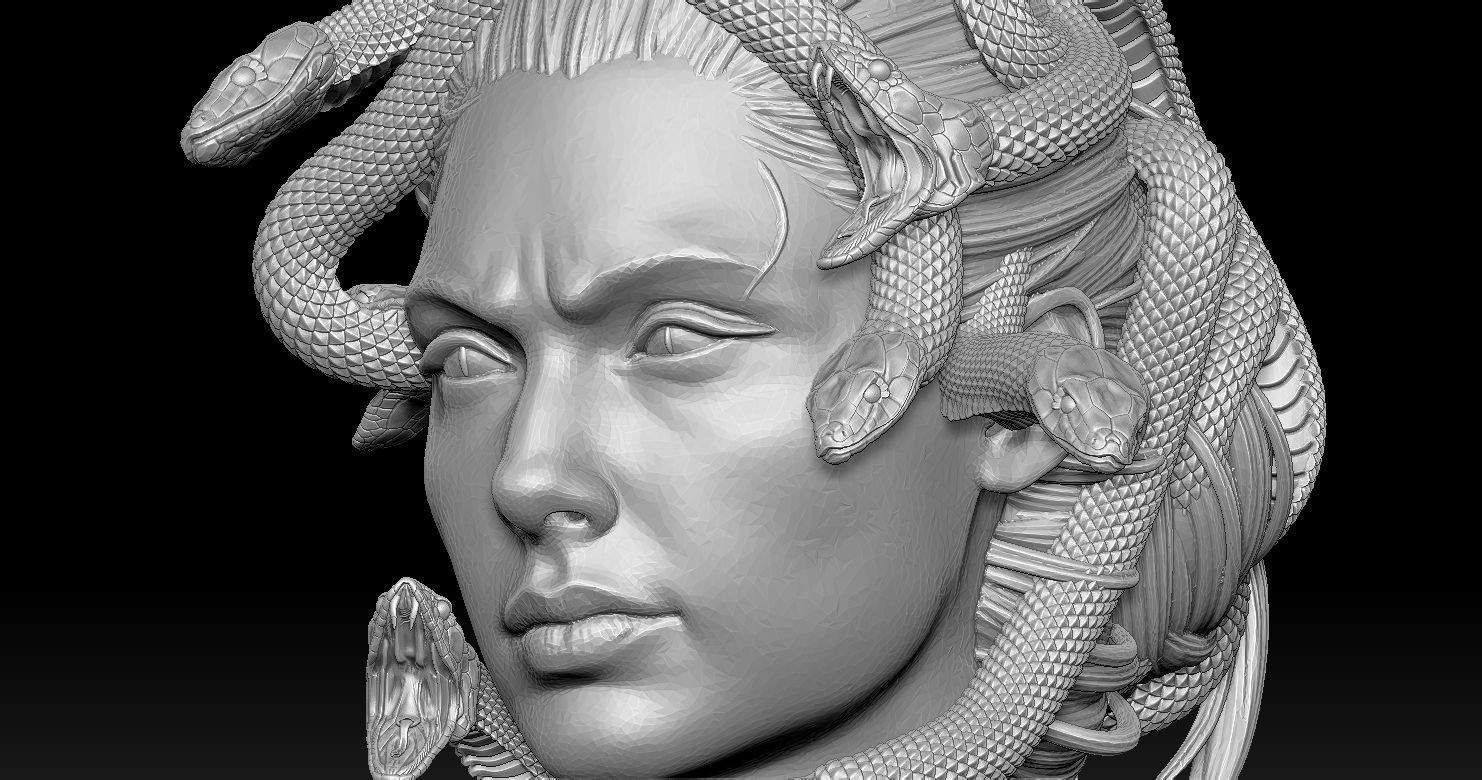 Medusa Head 2 3D print model  3D print model_2
