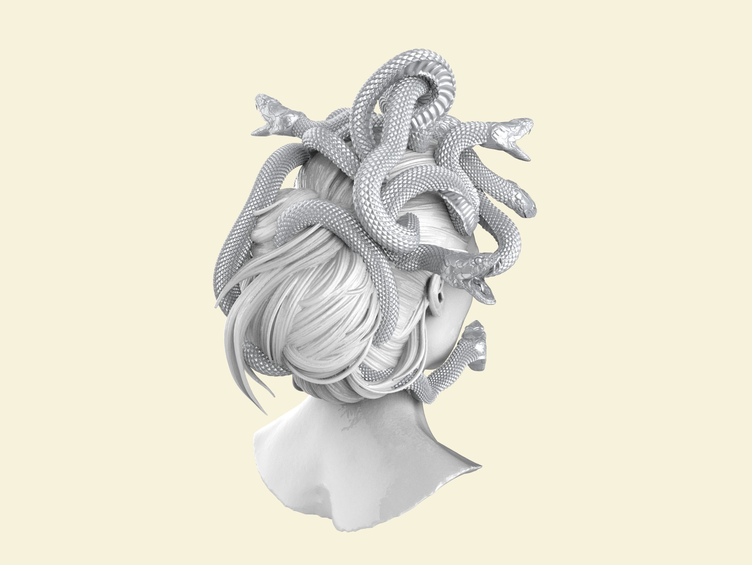 Medusa Head 2 3D print model  3D print model_23