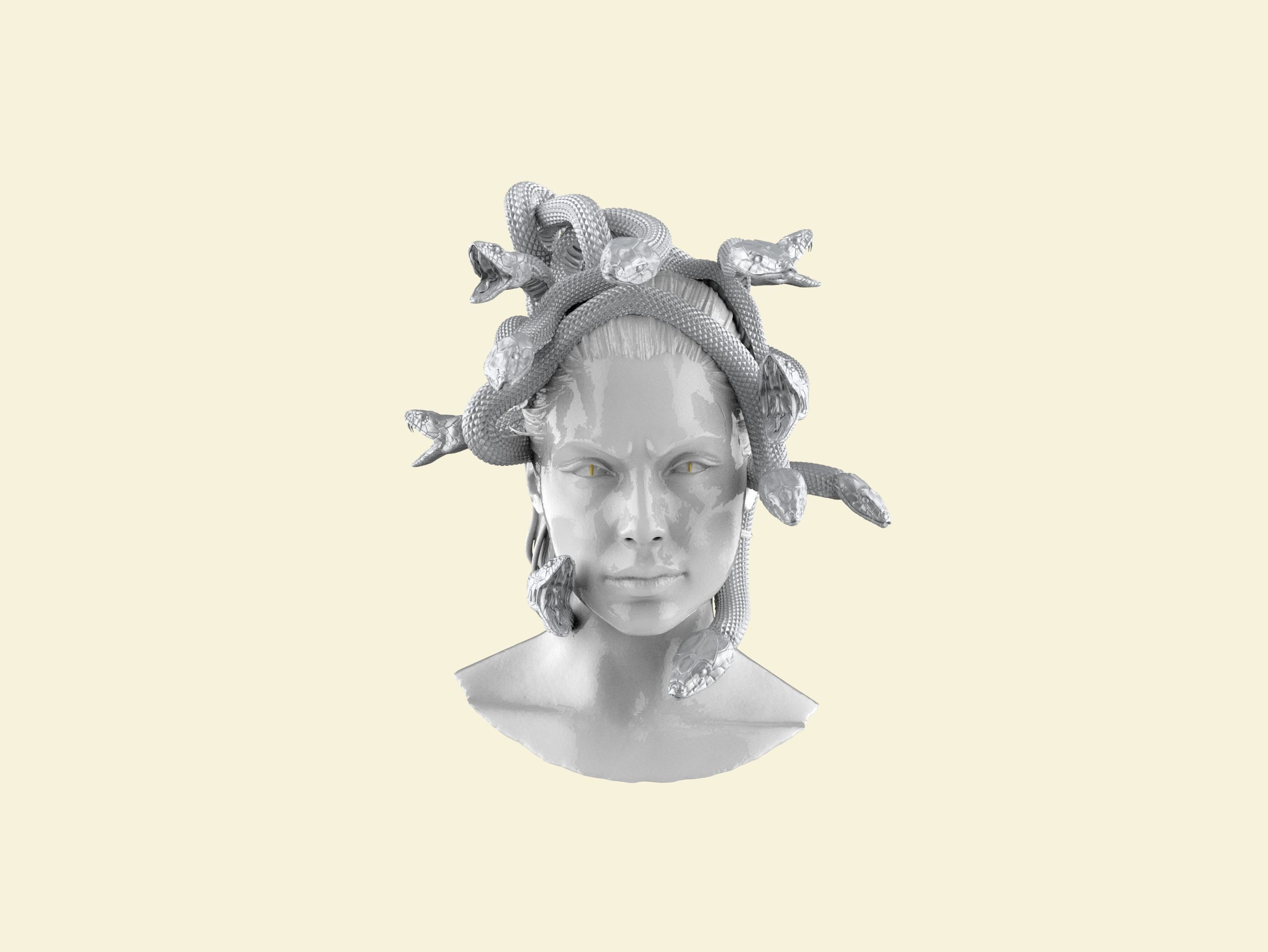 Medusa Head 2 3D print model  3D print model_25